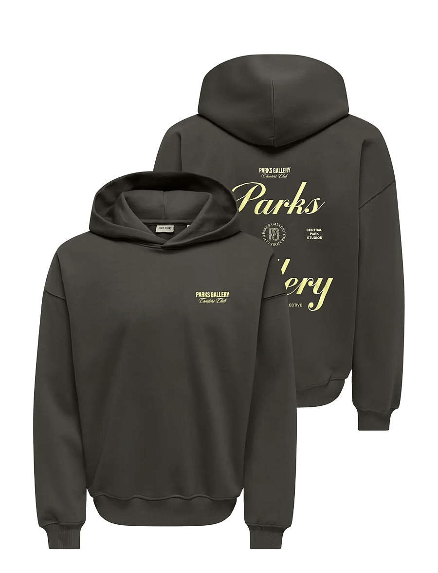 ONLY & SONS - ONSPARKS GALLERY RLX SWEAT HOODIE NOOS - hættetrøjer - beluga - 2