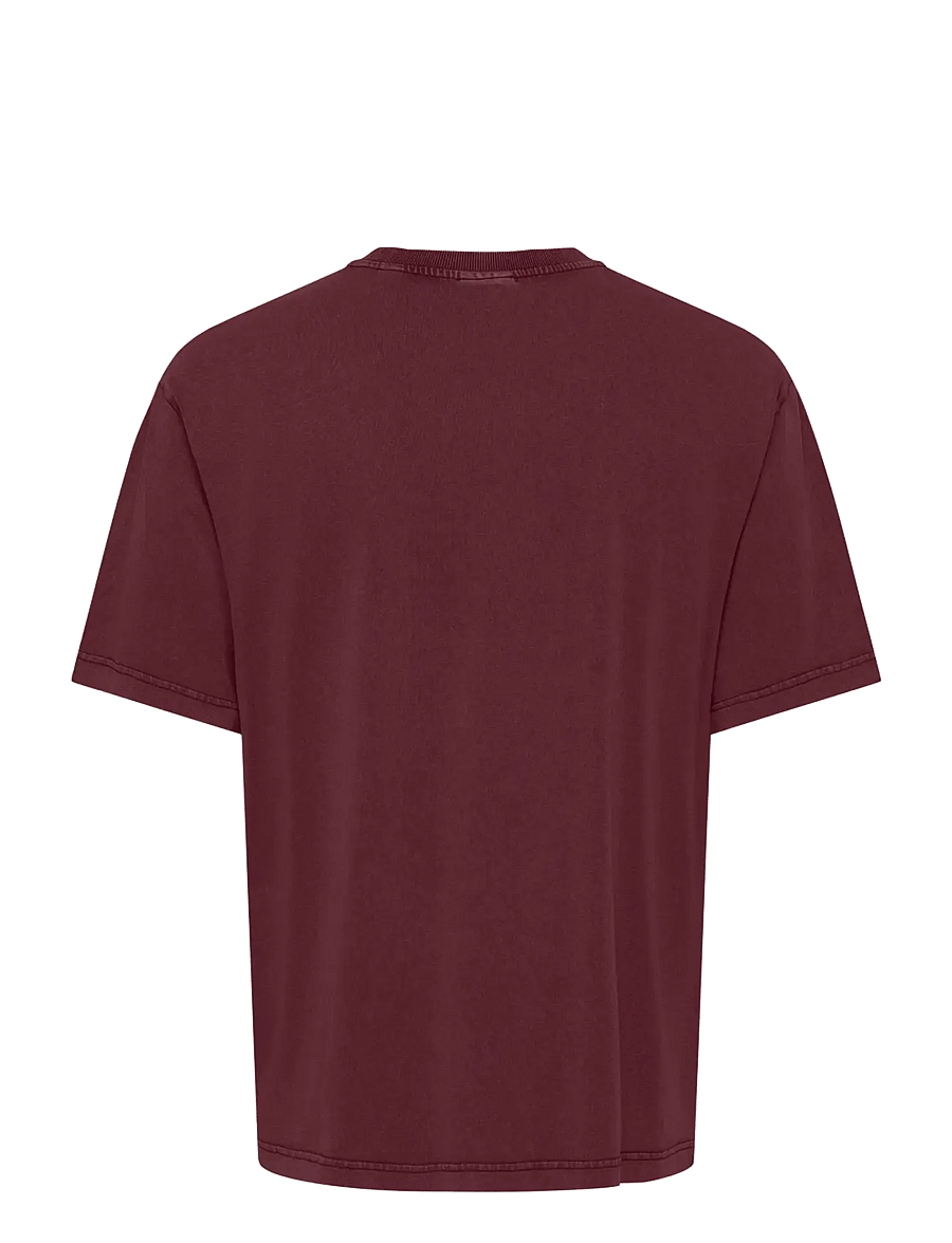 ONLY & SONS - ONSFRED LIFE RLX SS WASHED TEE - kurzärmelig - port royale - 1