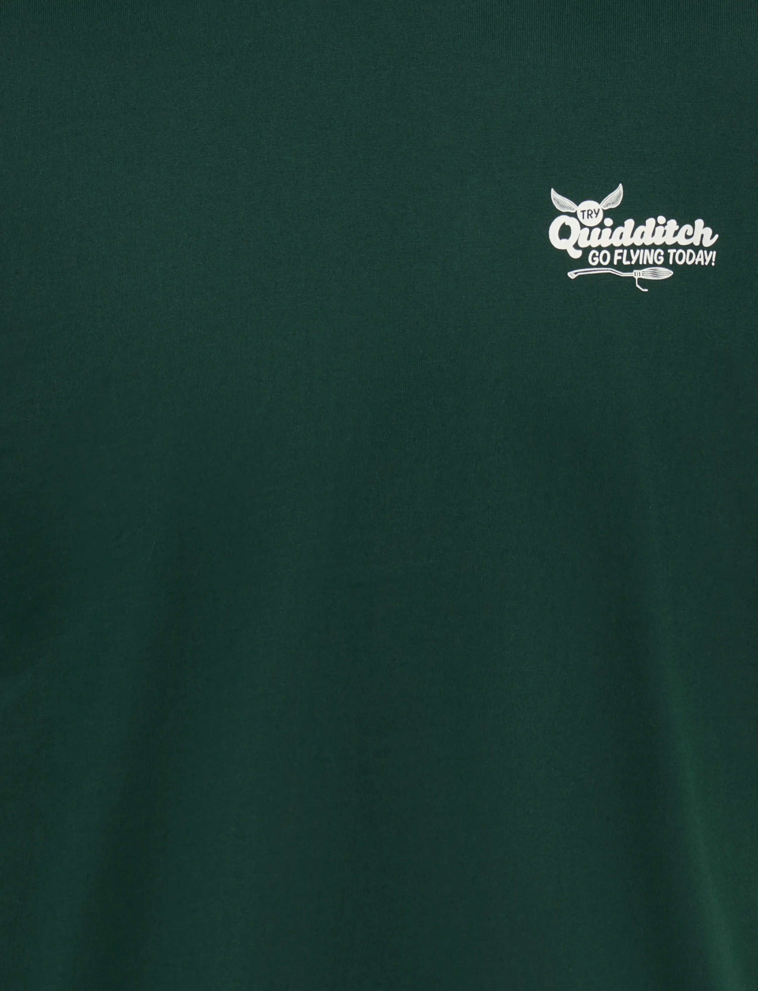 ONLY & SONS - ONSHARRY POTTER LIFE RLX SS LIC TEE - pine grove - 3