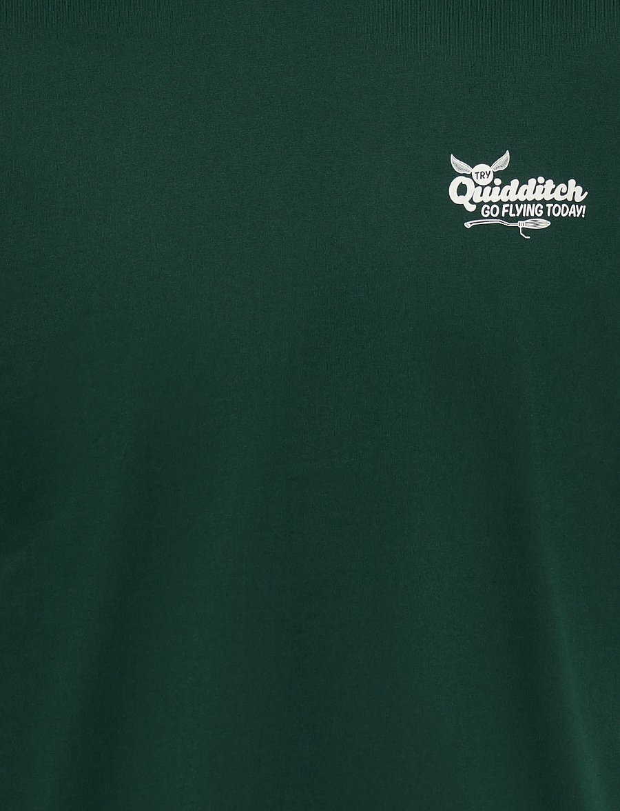 ONLY & SONS - ONSHARRY POTTER LIFE RLX SS LIC TEE - lühikeste varrukatega t-särgid - pine grove - 3