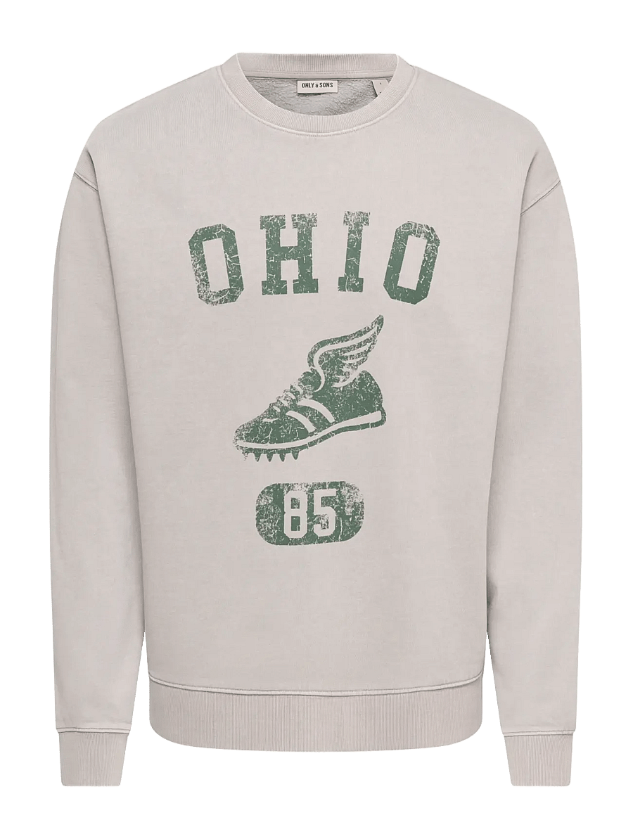 ONLY & SONS - ONSCREATIVE COLLEGE RLX WASH CREW SWEAT - ghost gray - 0