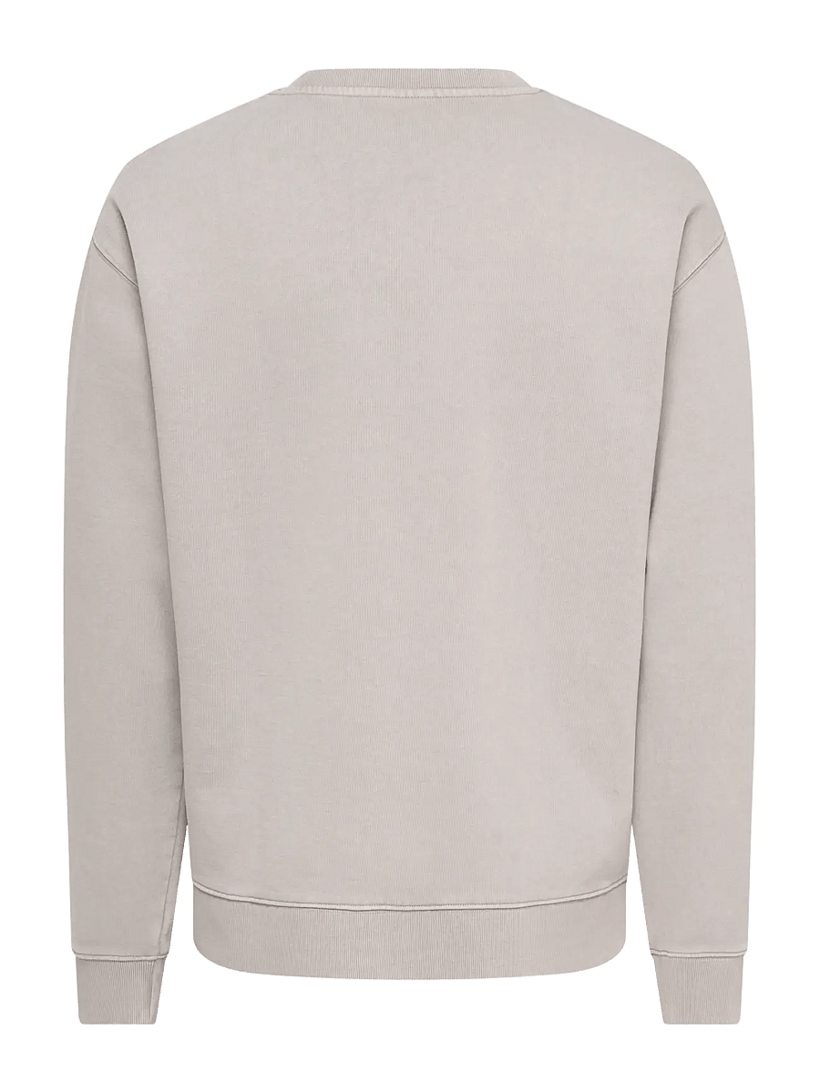 ONLY & SONS - ONSCREATIVE COLLEGE RLX WASH CREW SWEAT - ghost gray - 1