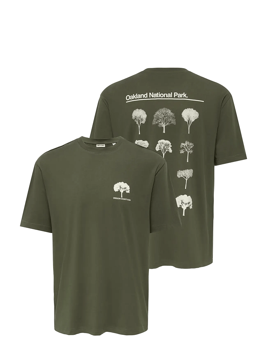ONLY & SONS - ONSAXEL BONSAI RLX SS TEE - kortärmade t-shirts - tarmac - 2