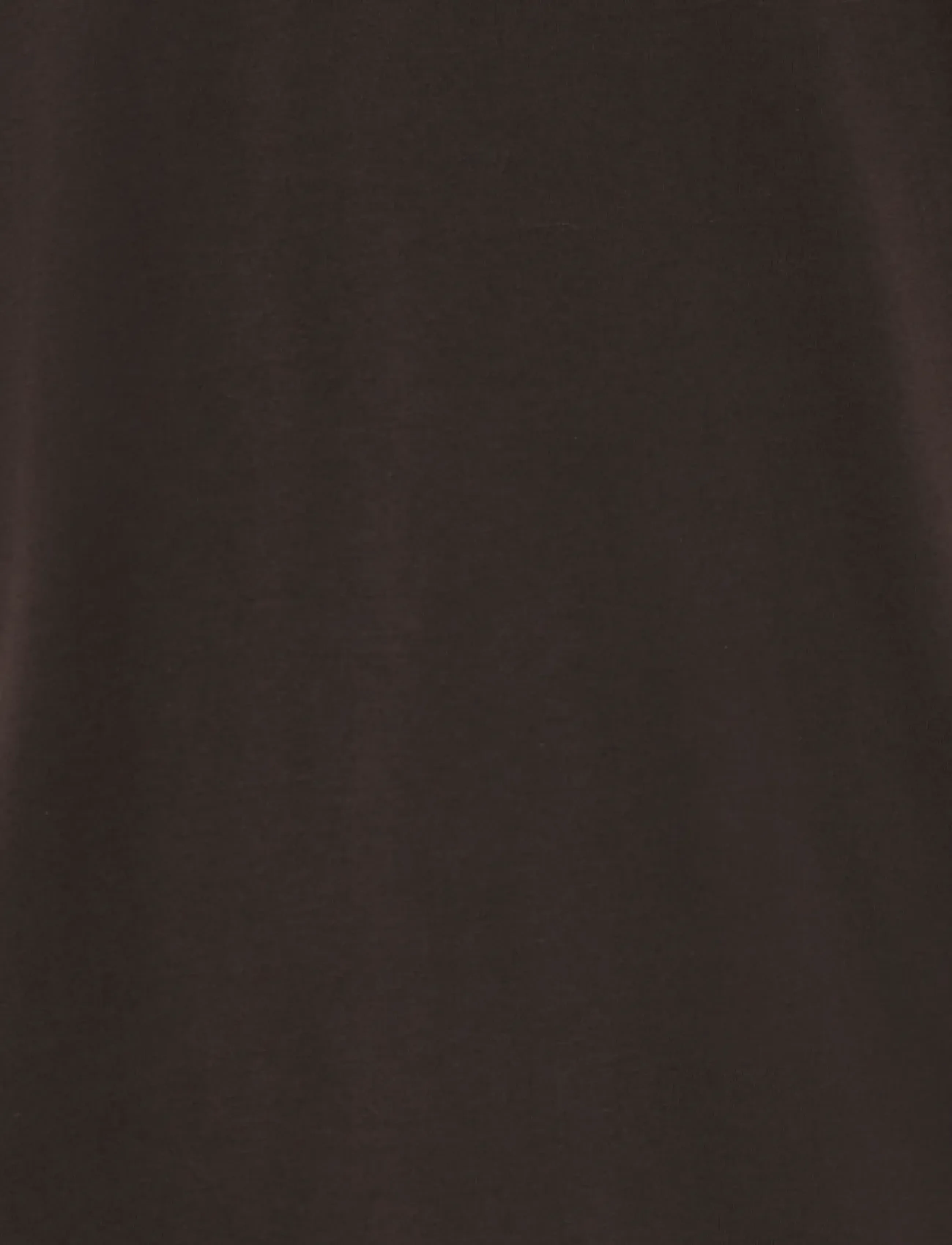 ONLY & SONS - ONSMAZ SS REG TEE - coffee bean - 2