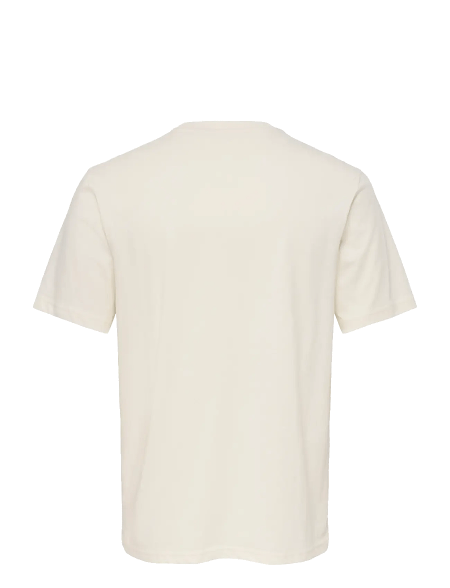 ONLY & SONS - ONSMAZ SS REG TEE - kurzärmelige t-shirts - egret - 1