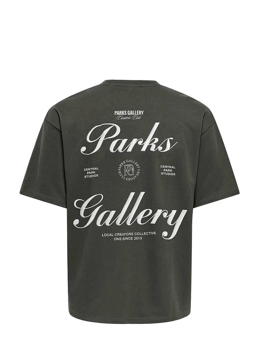 ONLY & SONS - ONSPARKS GALLERY AIR BOXY SS TEE NOOS - beluga - 1