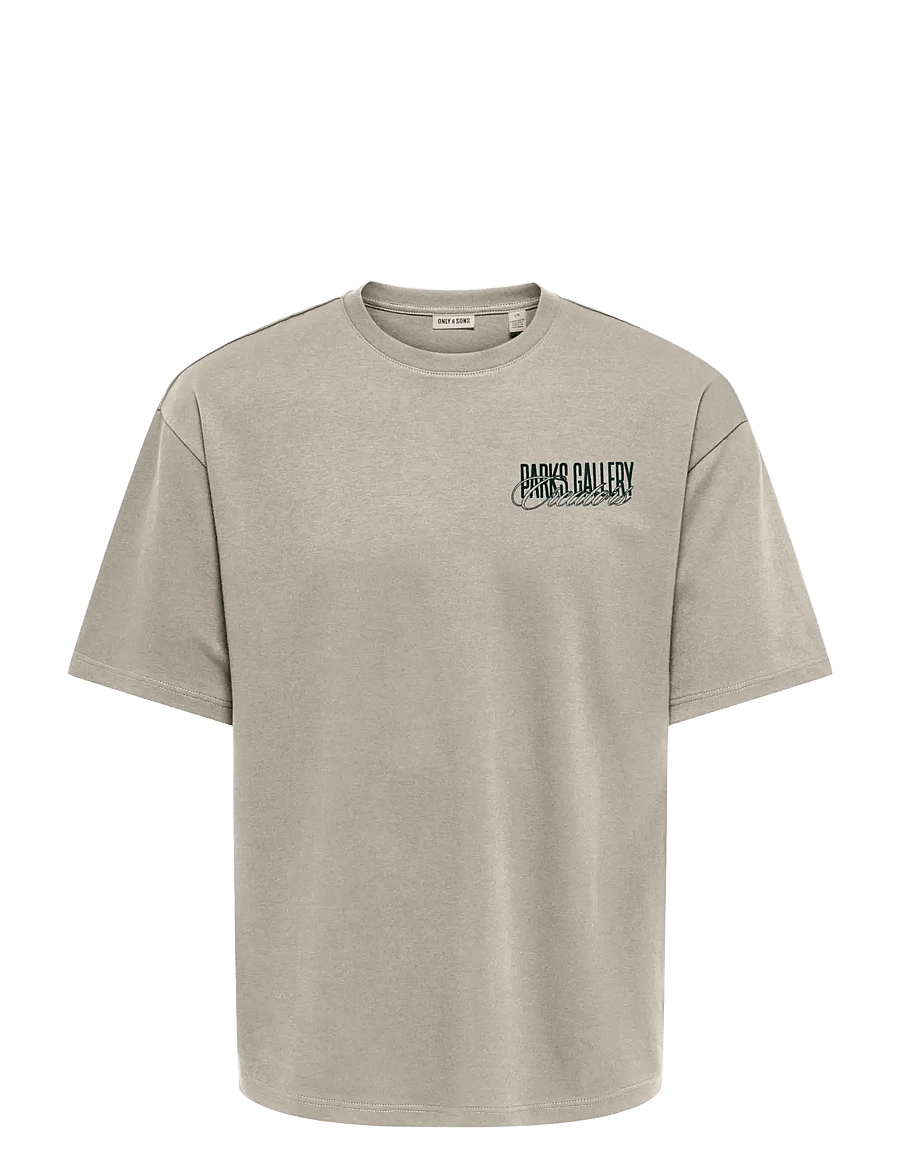 ONLY & SONS - ONSPARKS GALLERY AIR BOXY SS TEE NOOS - lühikeste varrukatega t-särgid - silver lining - 0
