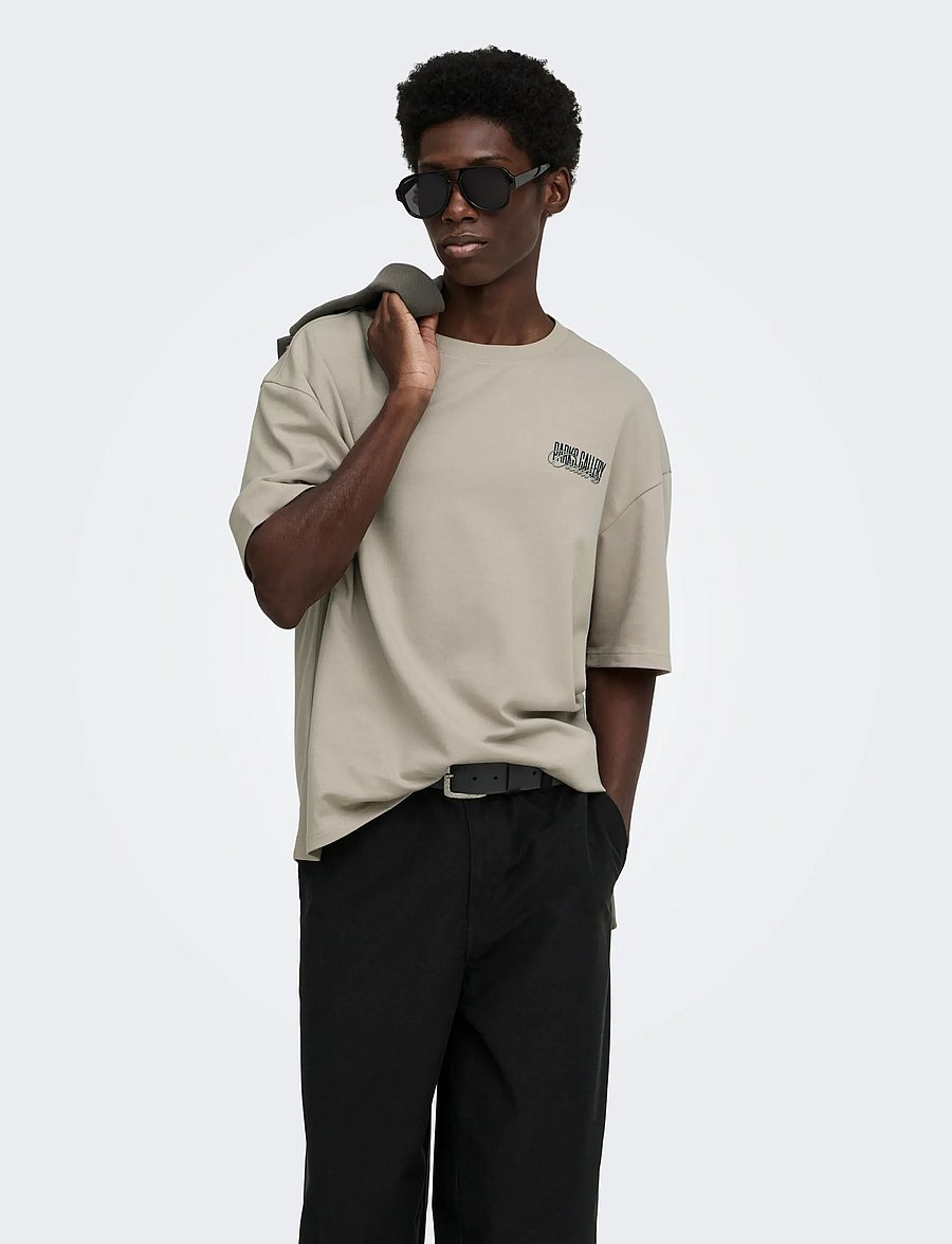 ONLY & SONS - ONSPARKS GALLERY AIR BOXY SS TEE NOOS - kurzärmelige t-shirts - silver lining - 0