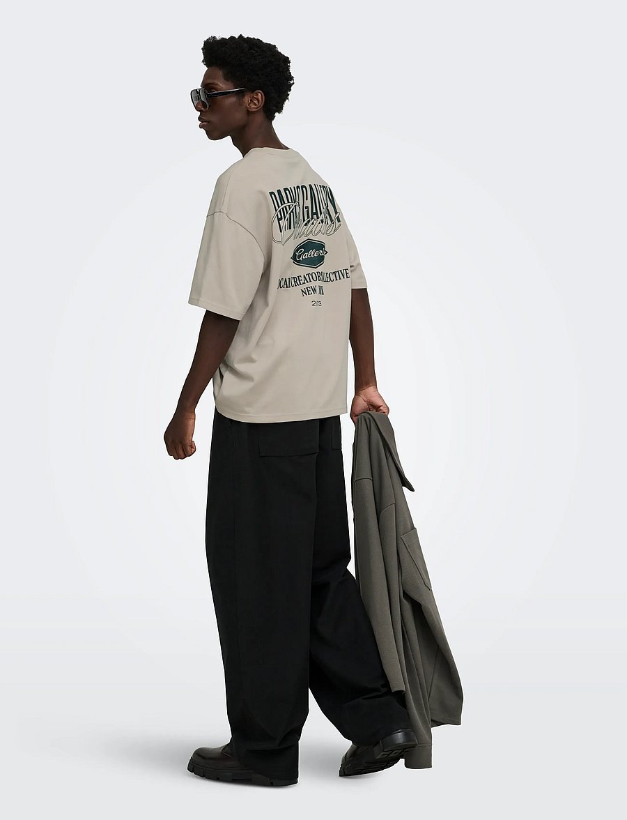 ONLY & SONS - ONSPARKS GALLERY AIR BOXY SS TEE NOOS - kurzärmelige t-shirts - silver lining - 4