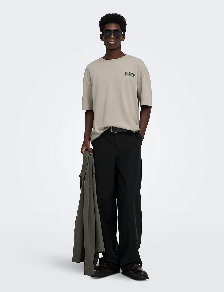 ONLY & SONS - ONSPARKS GALLERY AIR BOXY SS TEE NOOS - kurzärmelige t-shirts - silver lining - 5