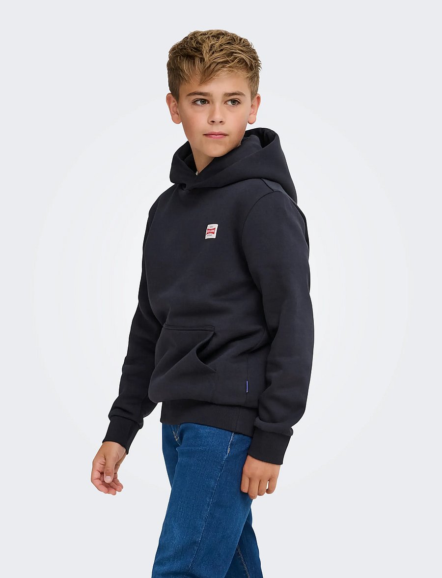ONLY & SONS - OSJCERES HOODIE LABEL SWT NOOS - kapuzenpullover - dark navy - 0