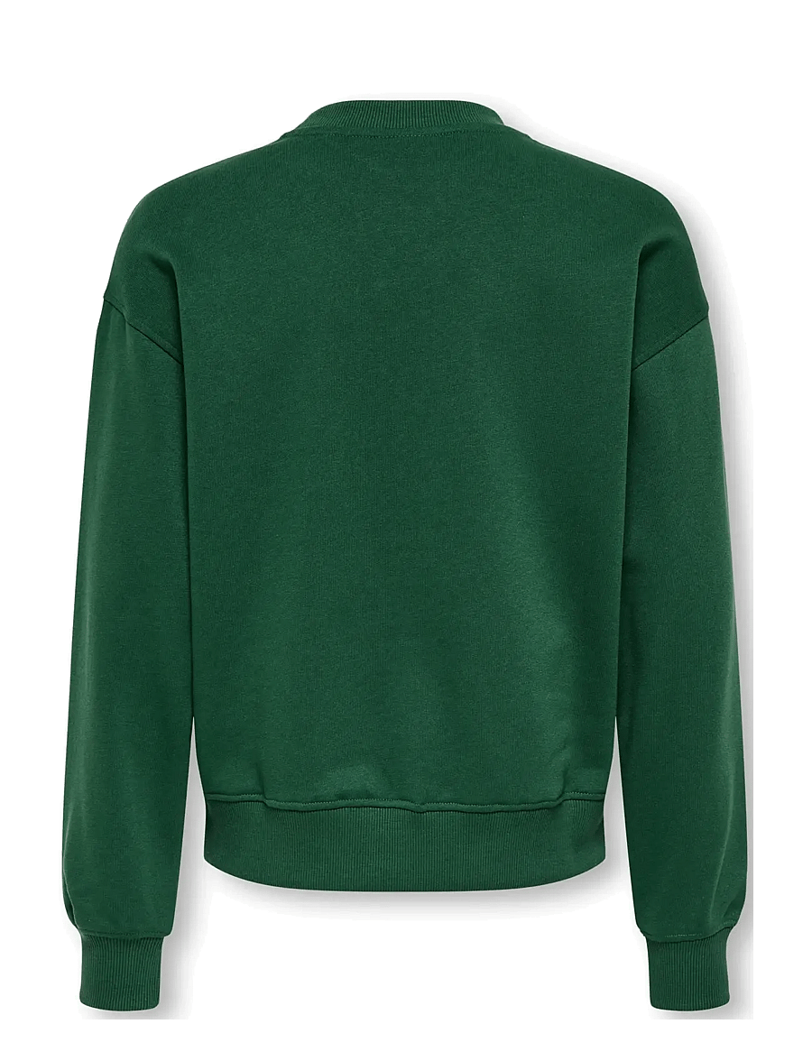 ONLY & SONS - OSJCOLE COLLEGE RLX LS CREW NECK - pineneedle - 1