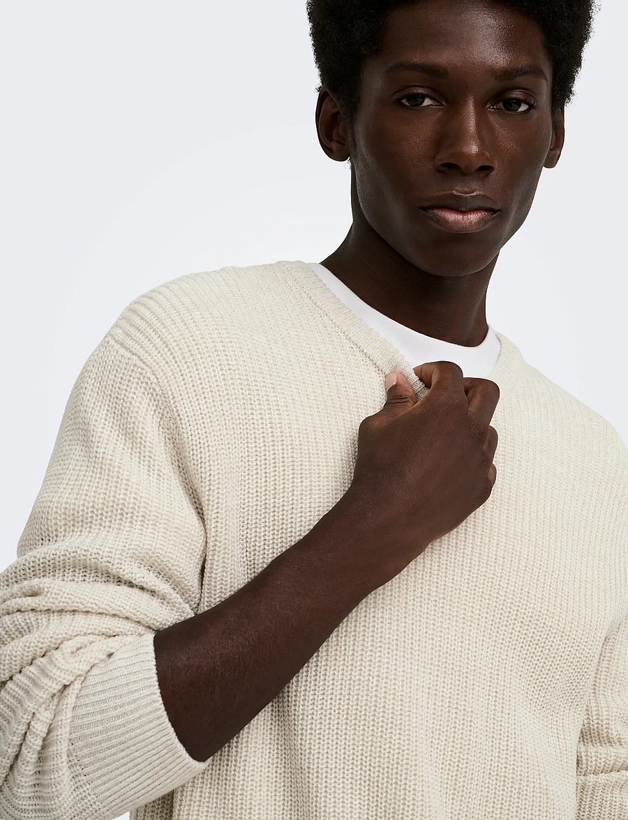 ONLY & SONS - ONSJONAS REG CREW NECK KNIT - round necks - egret - 5