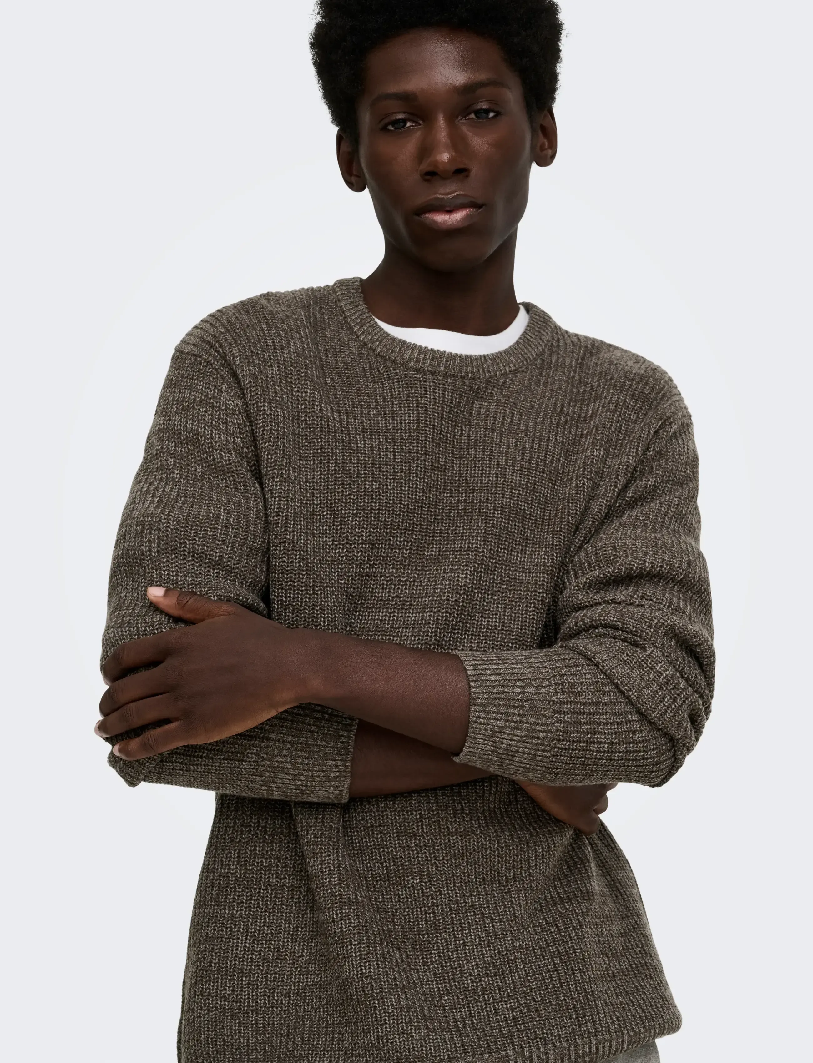 ONLY & SONS ONSJONAS REG CREW NECK KNIT - Clothing - FALCON / brown