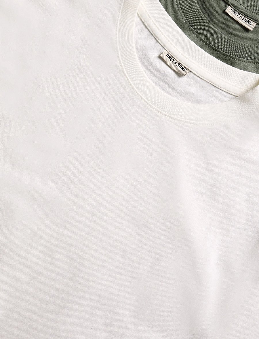 ONLY & SONS - ONSFRED LIFE RLX MIX TEE 2-PACK - kurzärmelig - castor gray - 2