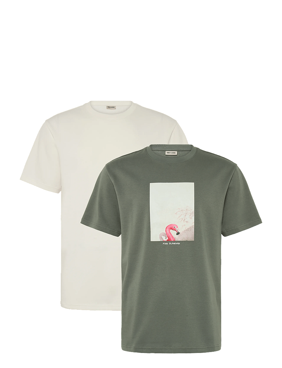 ONLY & SONS - ONSCASPIAN AIRFLEX SS REG MIX TEE 2-PACK - kortærmede t-shirts - castor gray - 0