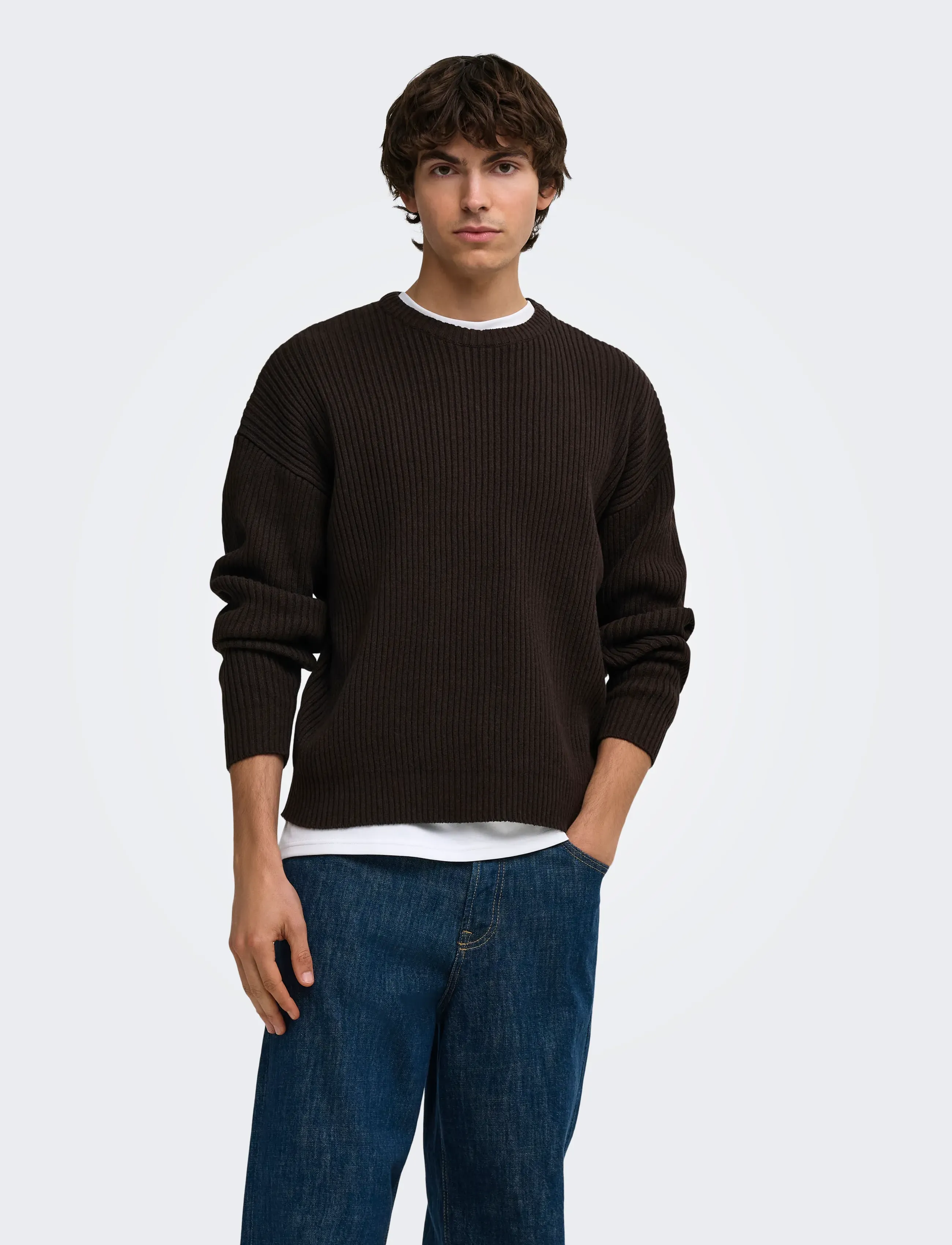 ONLY & SONS ONSARLOK L/S CREW KNIT - Kollektioner - COFFEE BEAN / brown