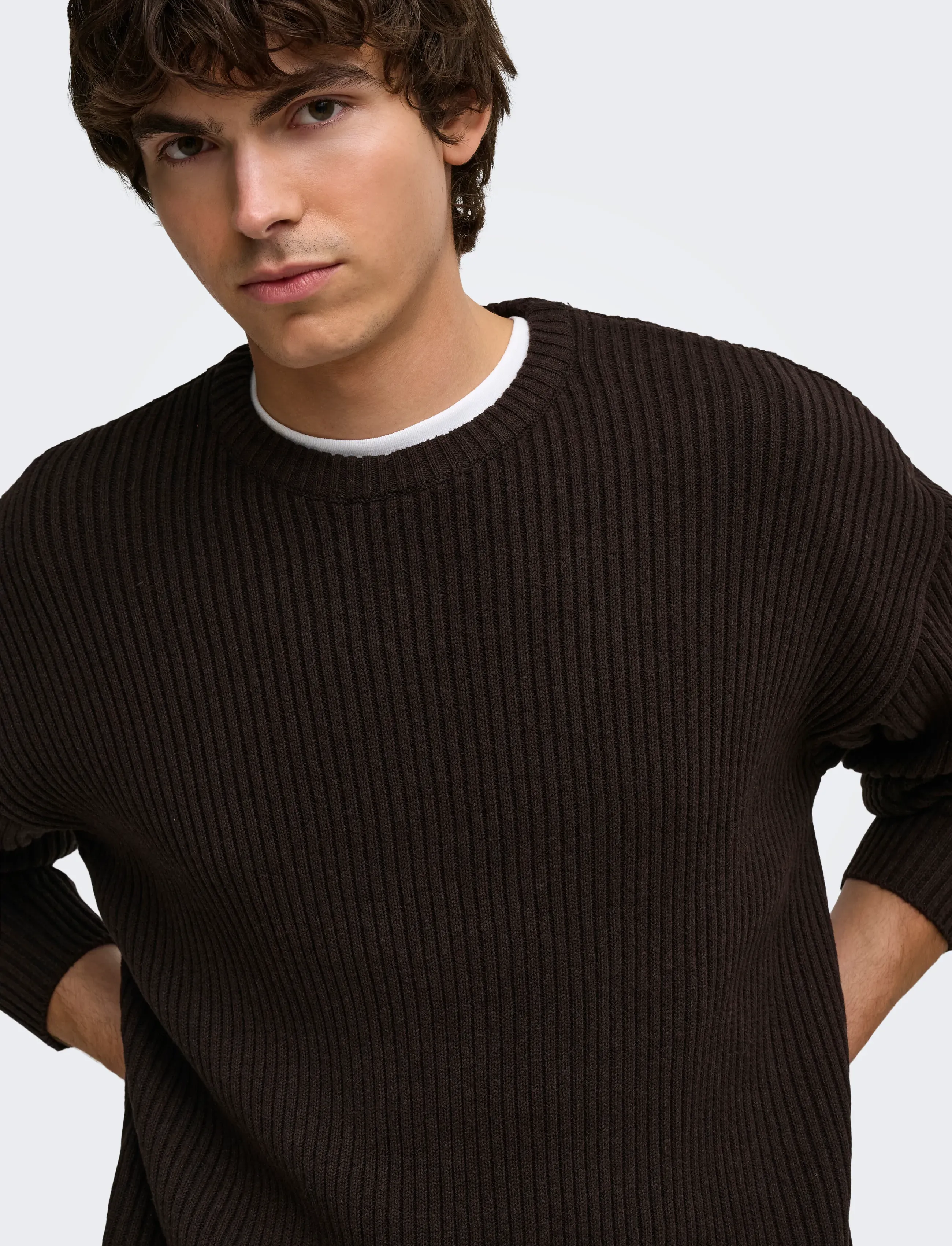 ONLY & SONS - ONSARLOK L/S CREW KNIT - rund hals - coffee bean - 5