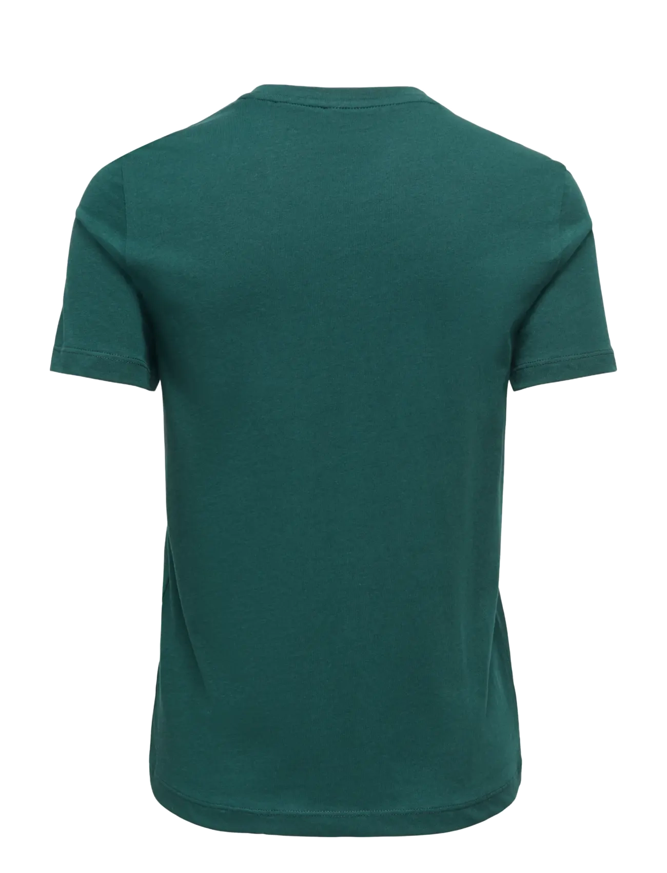 ONLY - ONLXMAS YRSA CHRISTMAS S/S TOP JRS - t-shirts - ponderosa pine - 1