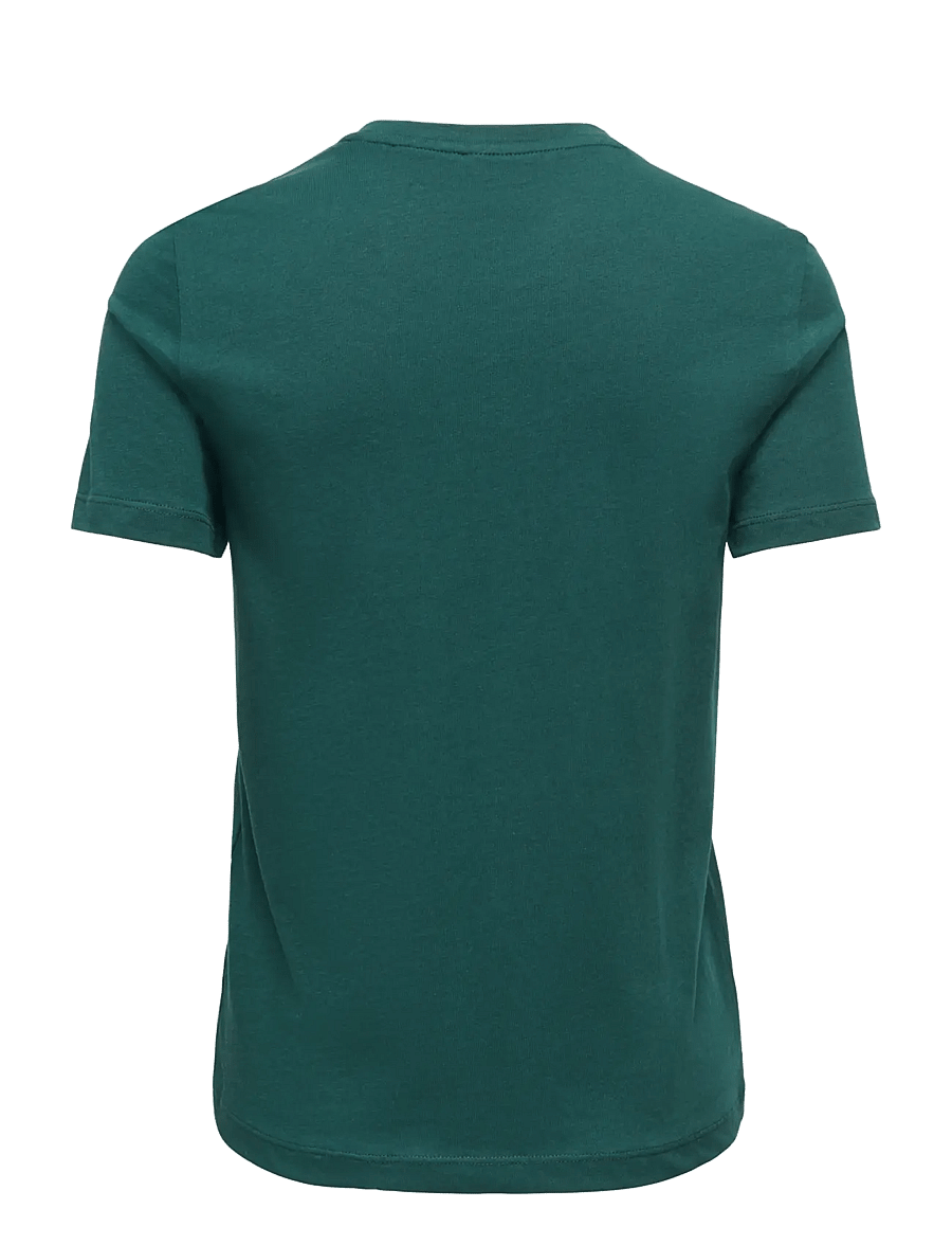 ONLY - ONLXMAS YRSA CHRISTMAS S/S TOP JRS - t-shirts - ponderosa pine - 1