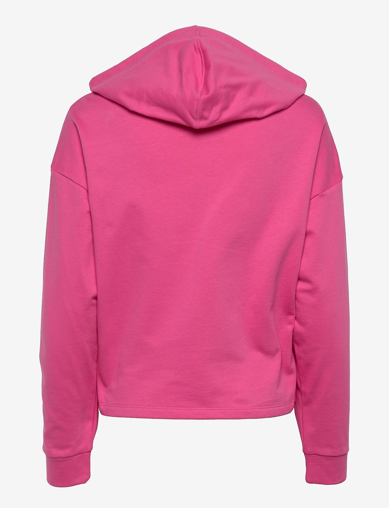 ONLY - ONLDREAMER LIFE L/S HOOD SWT - gin fizz - 1
