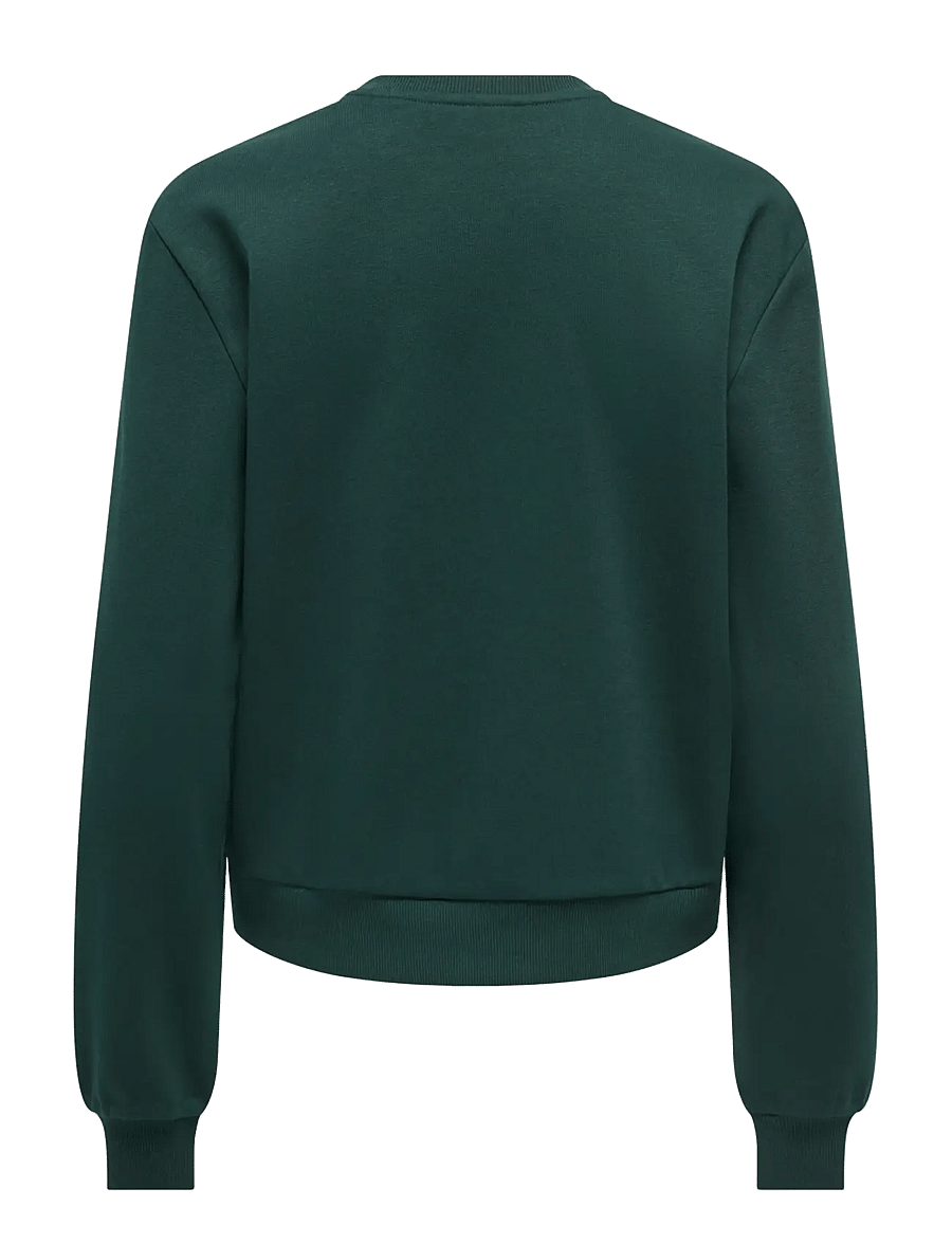 ONLY - ONLYDA XMAS L/S O-NECK BOX SWT - sweatshirts - ponderosa pine - 1