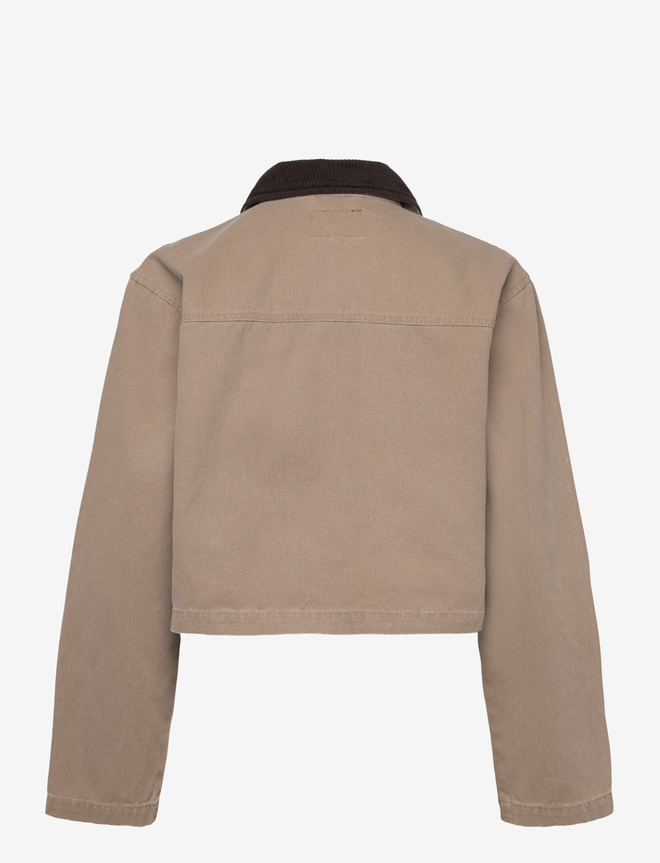 ONLY - ONLCAVA COLLAR JACKET OTW CC - Üleriided - silver mink - 1