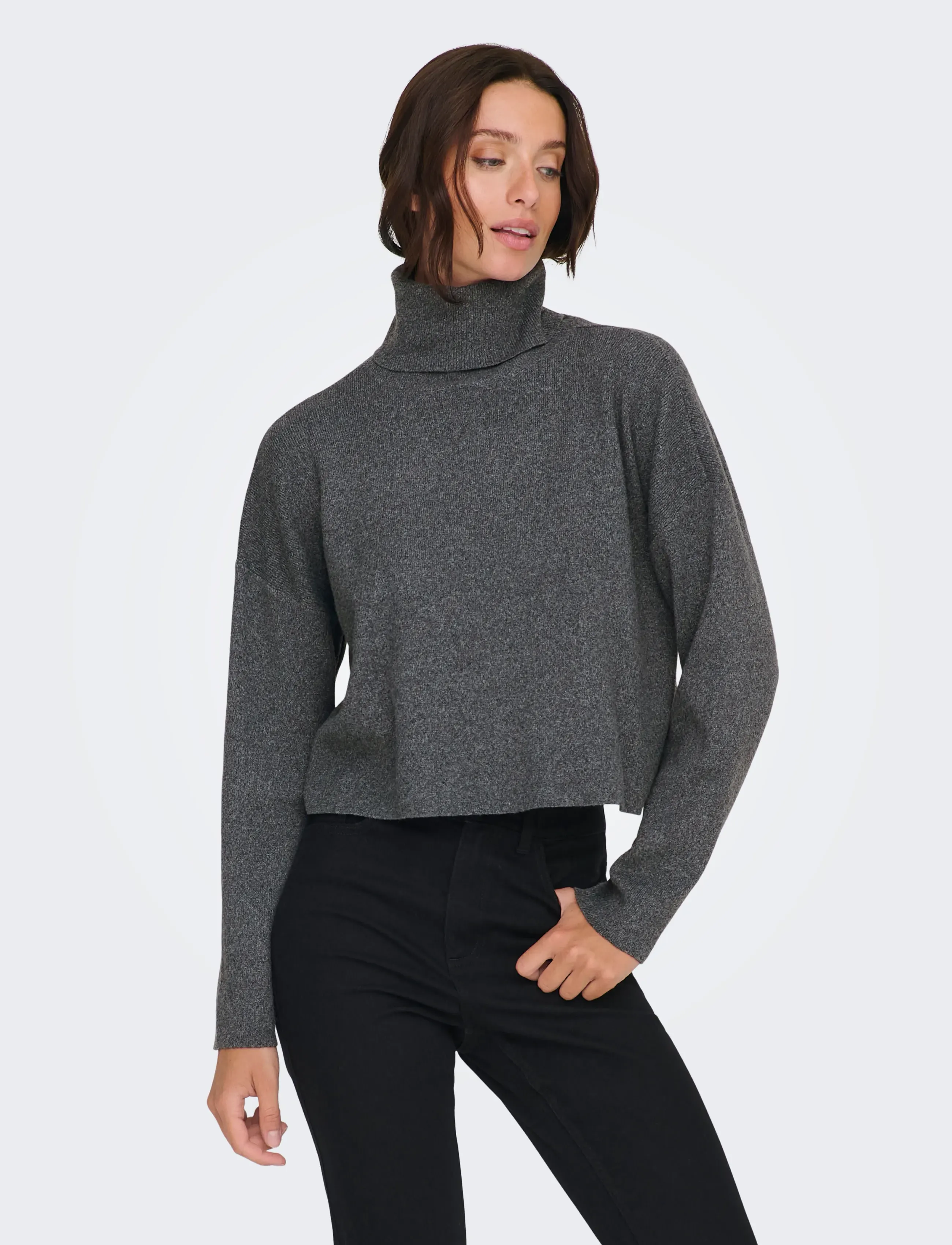 ONLY Onlama Life Ls Rib Rollneck Cc Knt polotröjor dam – bild 5