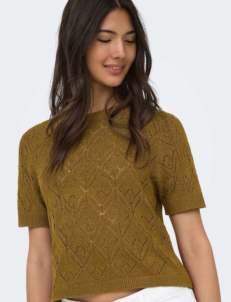 ONLY - ONLSUNNY S/S STRUCTURE PULLOVER KNT - kampsunid - breen - 5