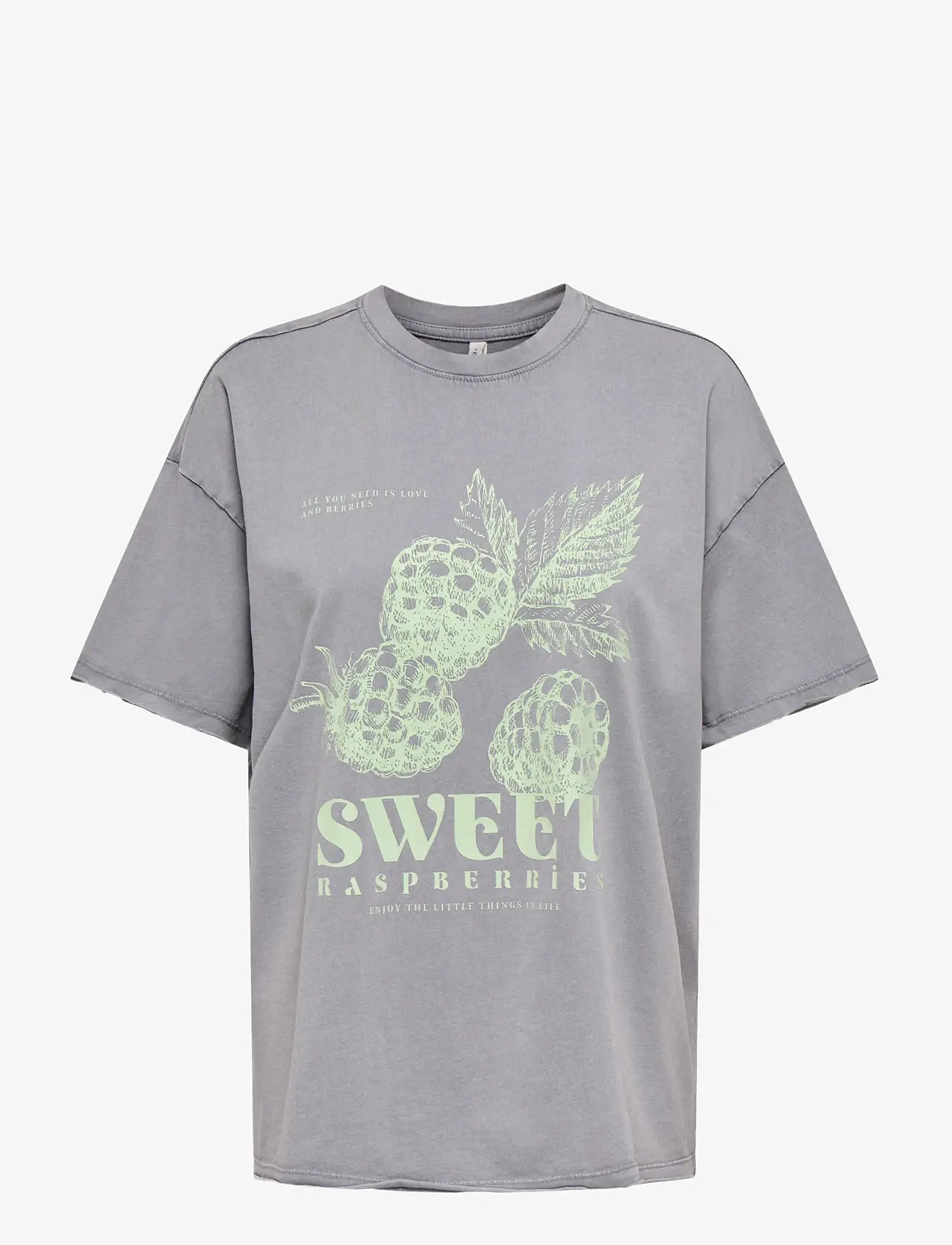 ONLY - ONLKINNA S/S OVERSIZE TOP BOX JRS - t-shirts - silver sconce - 0