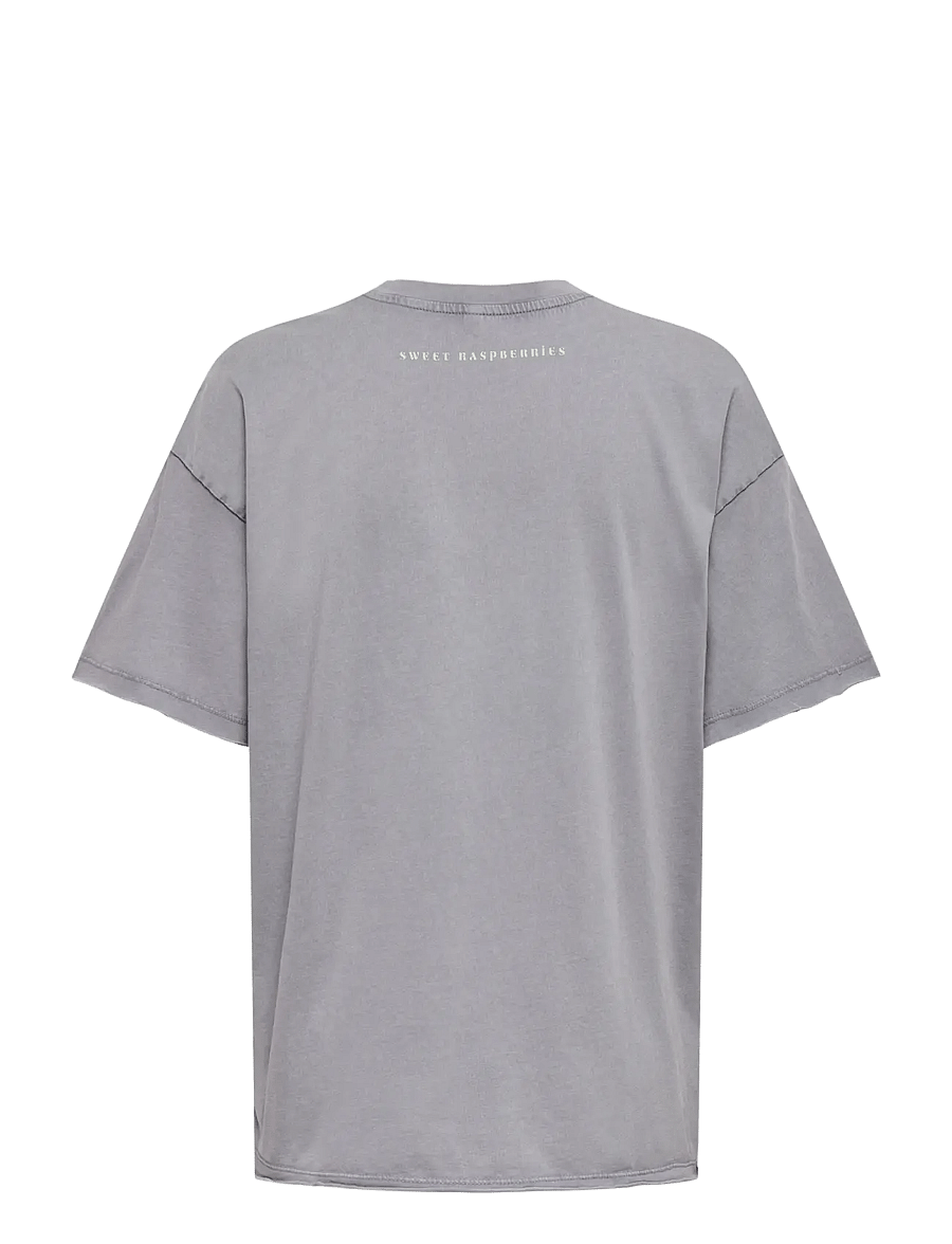 ONLY - ONLKINNA S/S OVERSIZE TOP BOX JRS - t-shirts - silver sconce - 1