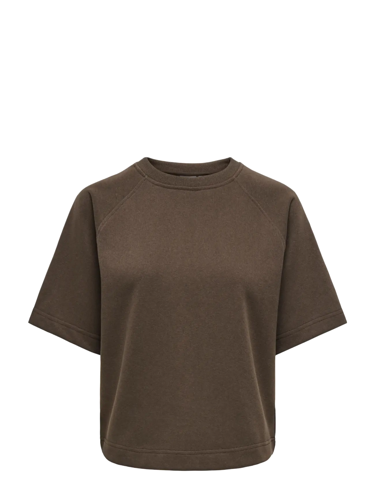 ONLY ONLOFELIA SS RAGLAN UB CC SWT - Sweatshirts & Kapuzenpullover - BRACKEN / brown