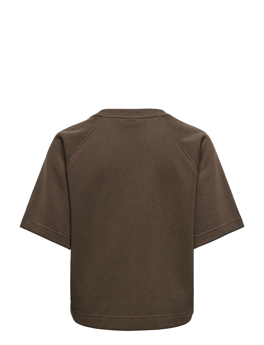 ONLY - ONLOFELIA SS RAGLAN UB CC SWT - bracken - 2