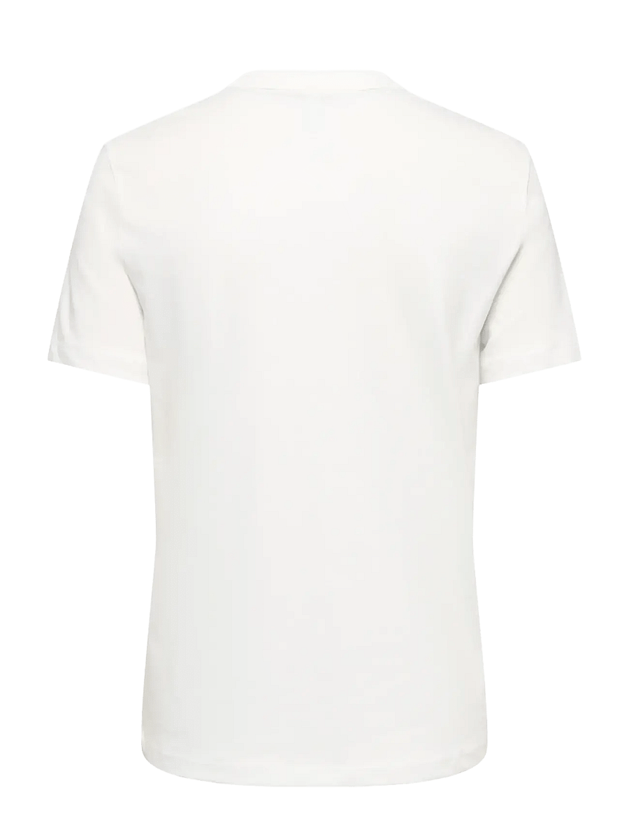 ONLY - ONLANIMAL REG S/S TOP BOX XMAS CS JRS - t-särgid - cloud dancer - 2