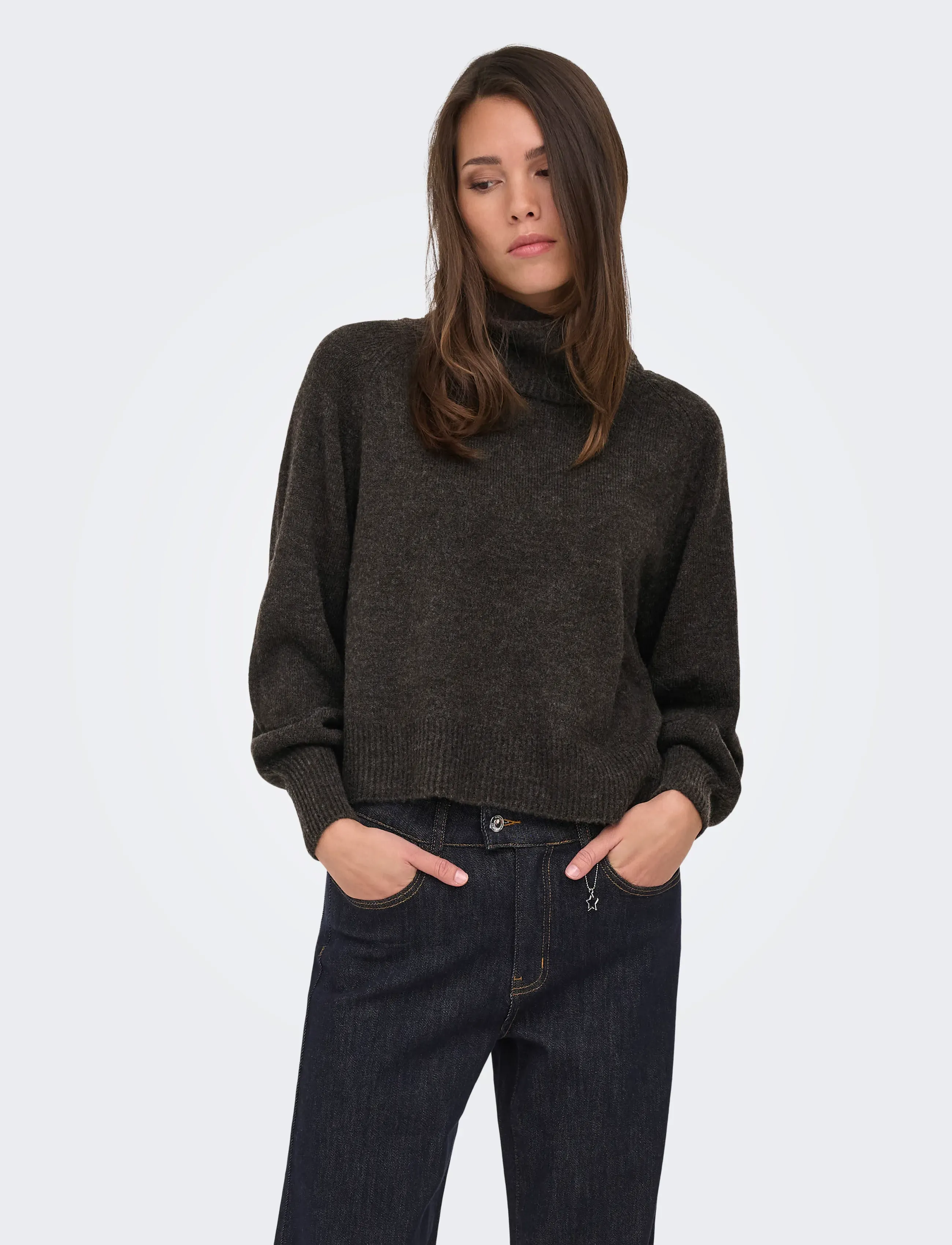 ONLY - ONLOLIVIA LS ROLL NECK CC KNT - stickade tröjor - mole - 0