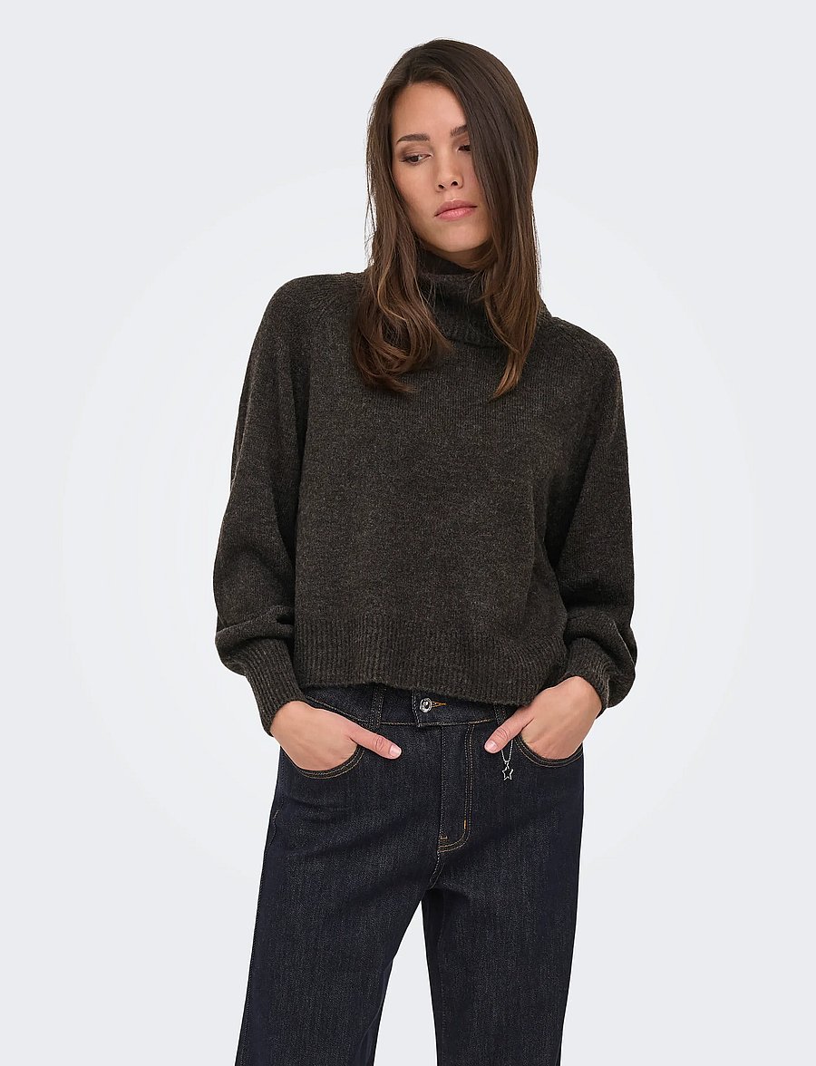 ONLY - ONLOLIVIA LS ROLL NECK CC KNT - stickade tröjor - mole - 0