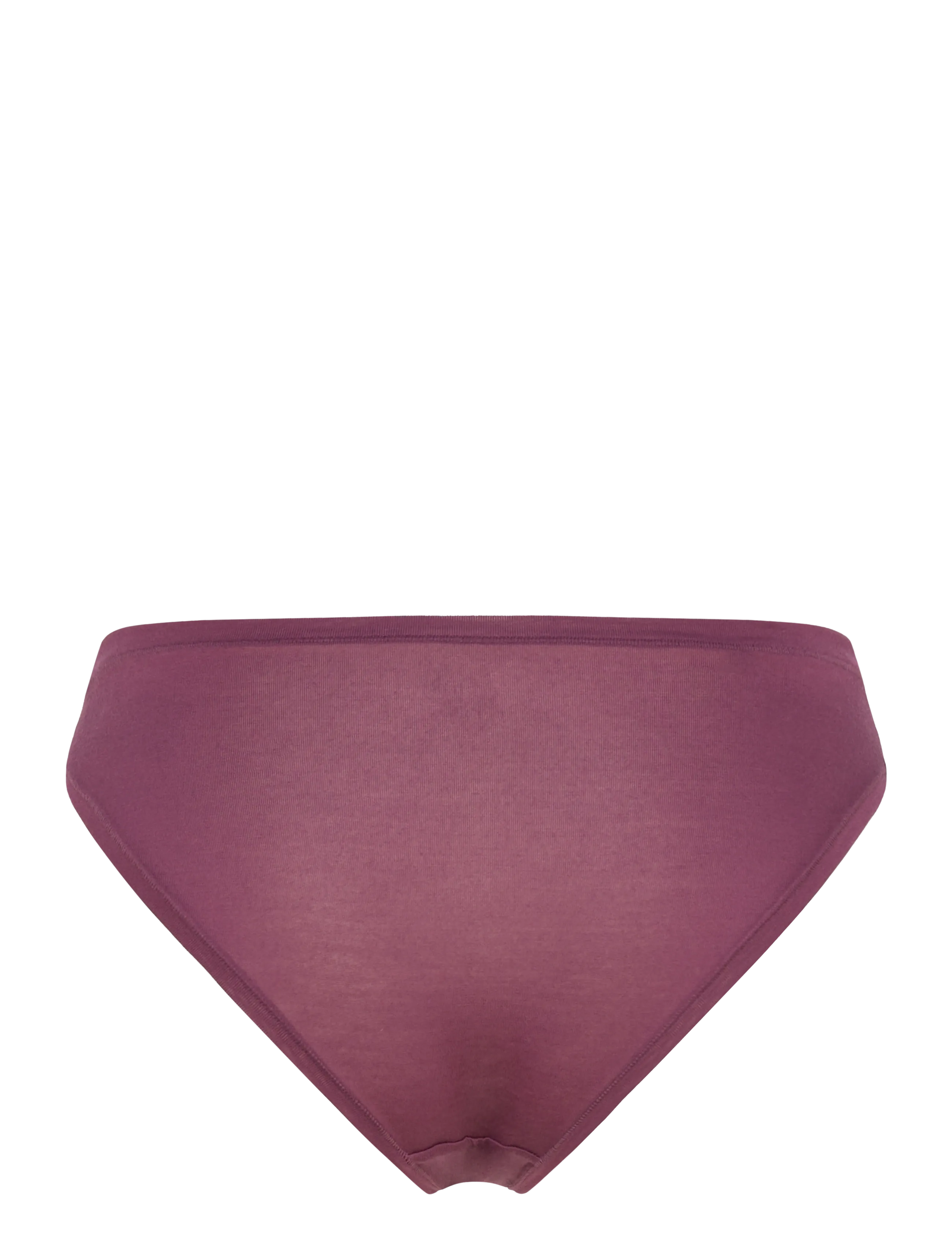 Organic Basics - Soft Touch Veil High-Leg Briefs - fig - 2