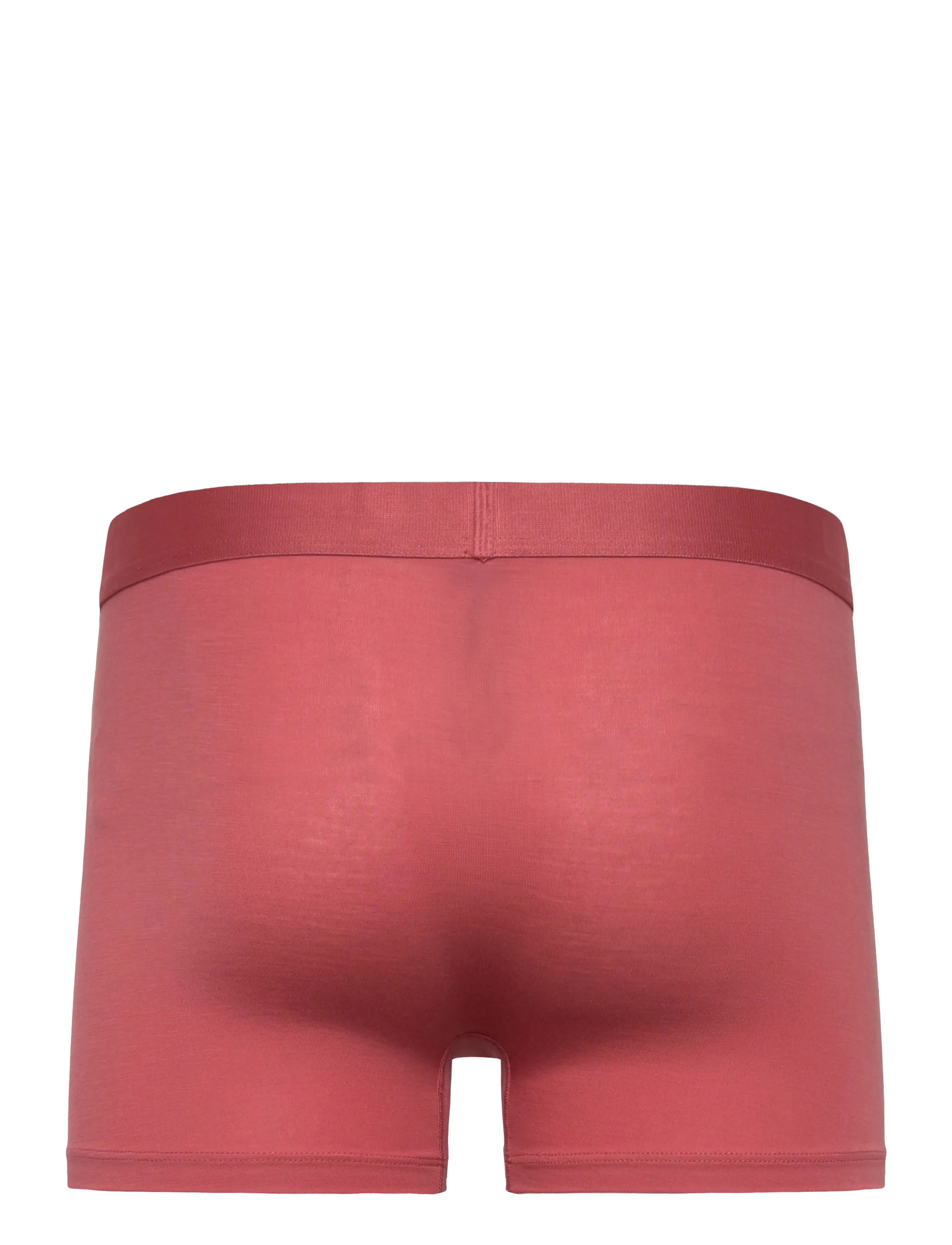Organic Basics - Premium Trunks 3-pack - boxershorts - terracotta / rich brown / midnight blue - 5