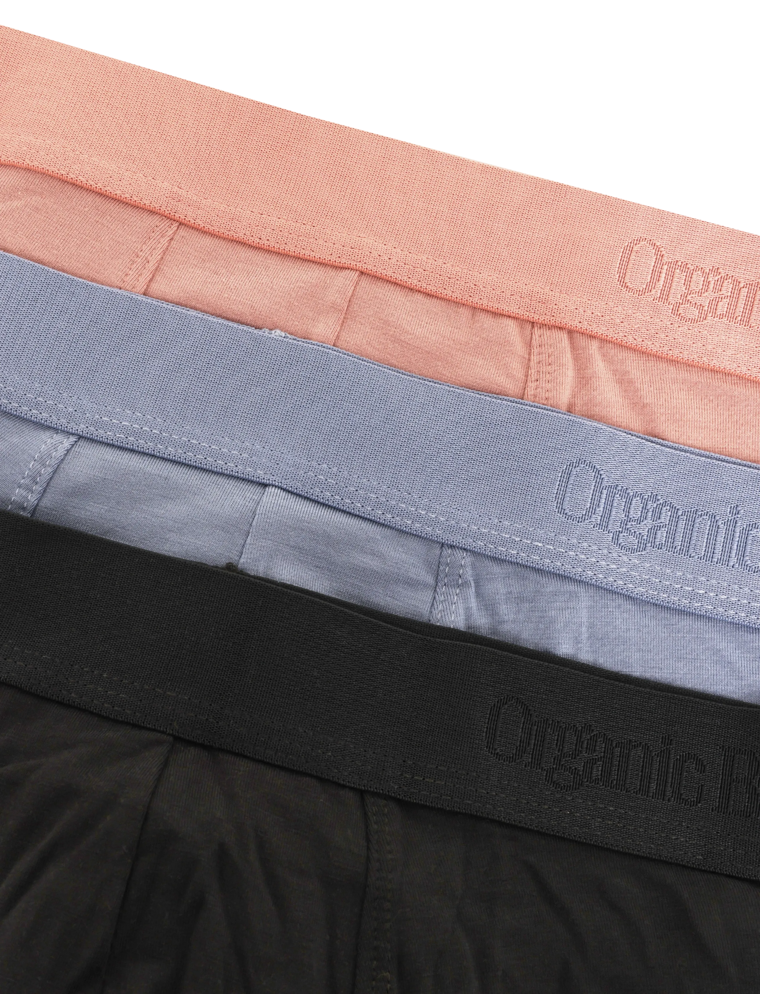 Organic Basics - Premium Trunks 3-pack - boxer briefs - black / misty blue / brick - 2