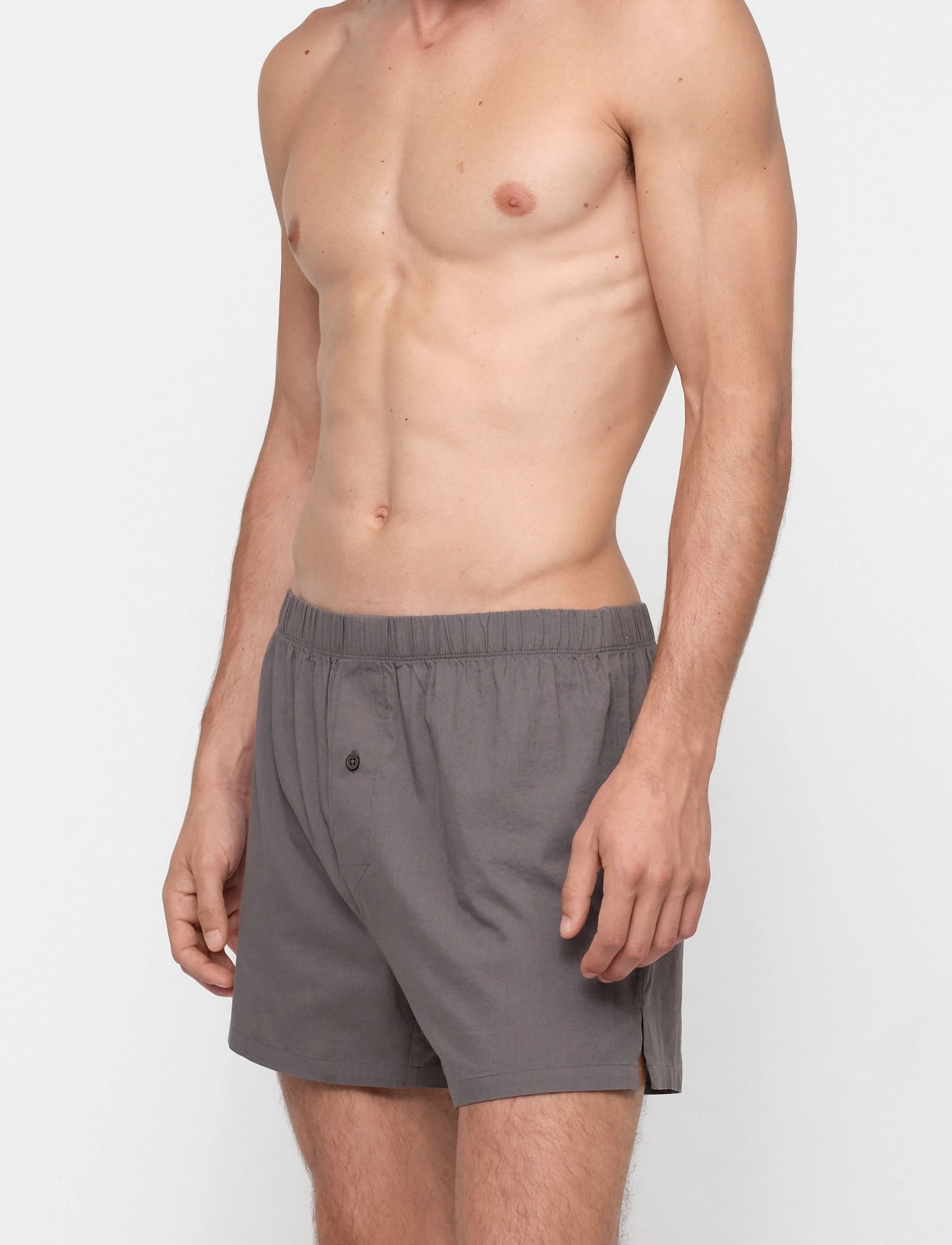Organic Basics - Core Icon Boxer Shorts 2-pack - multipack kalsonger - truffle stripe / pavement - 2