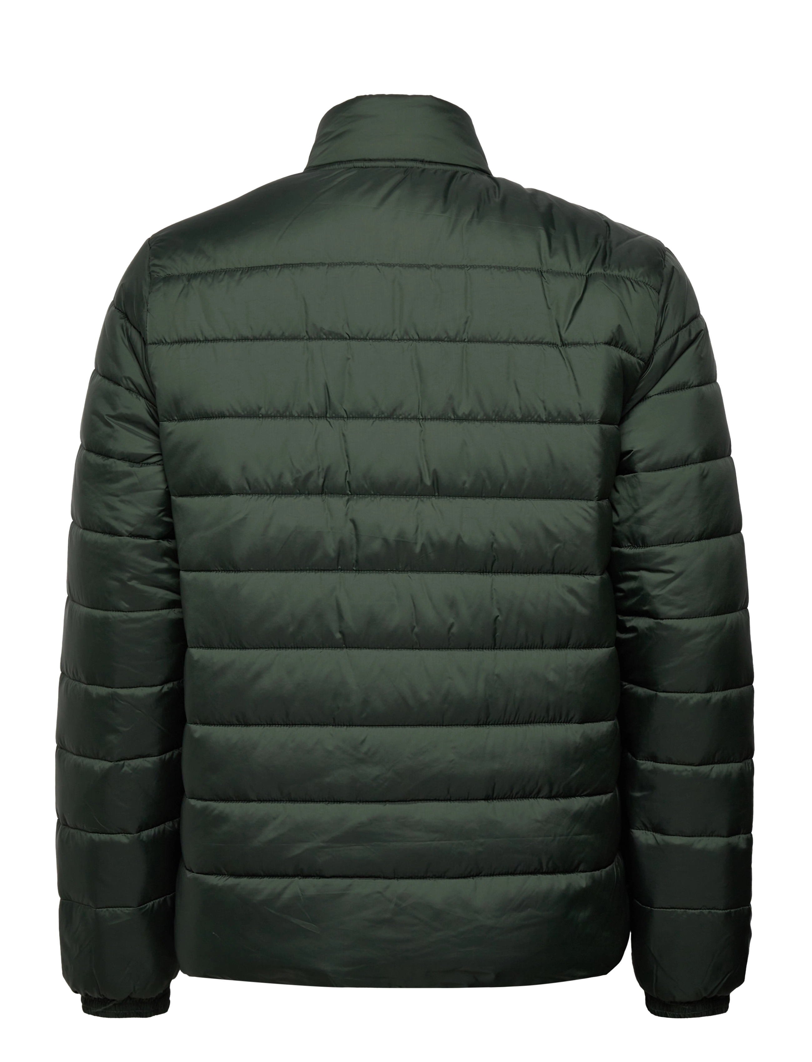 Original Penguin - REC POLY FILLED LGHT - deep forest - 1