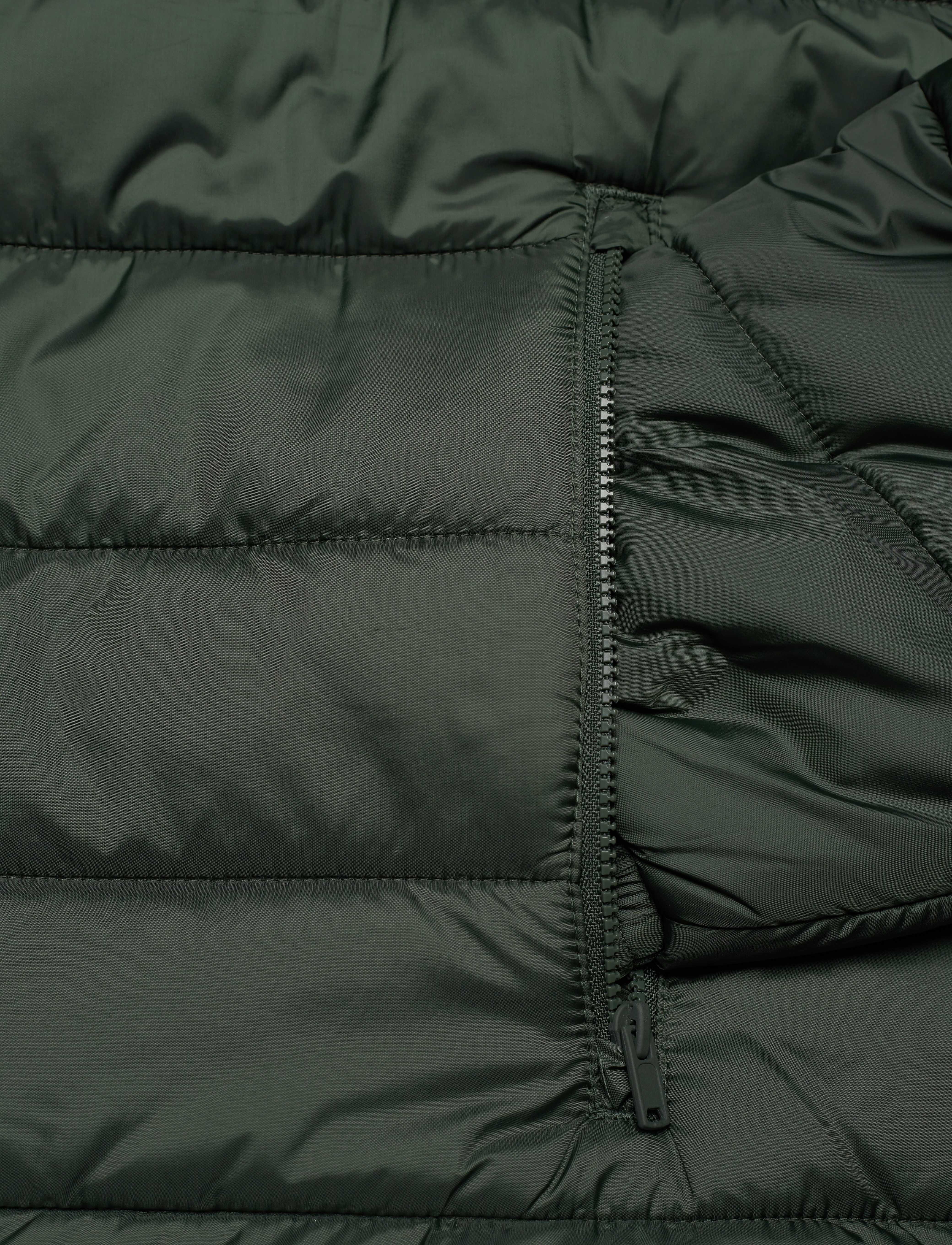 Original Penguin - REC POLY FILLED LGHT - deep forest - 3