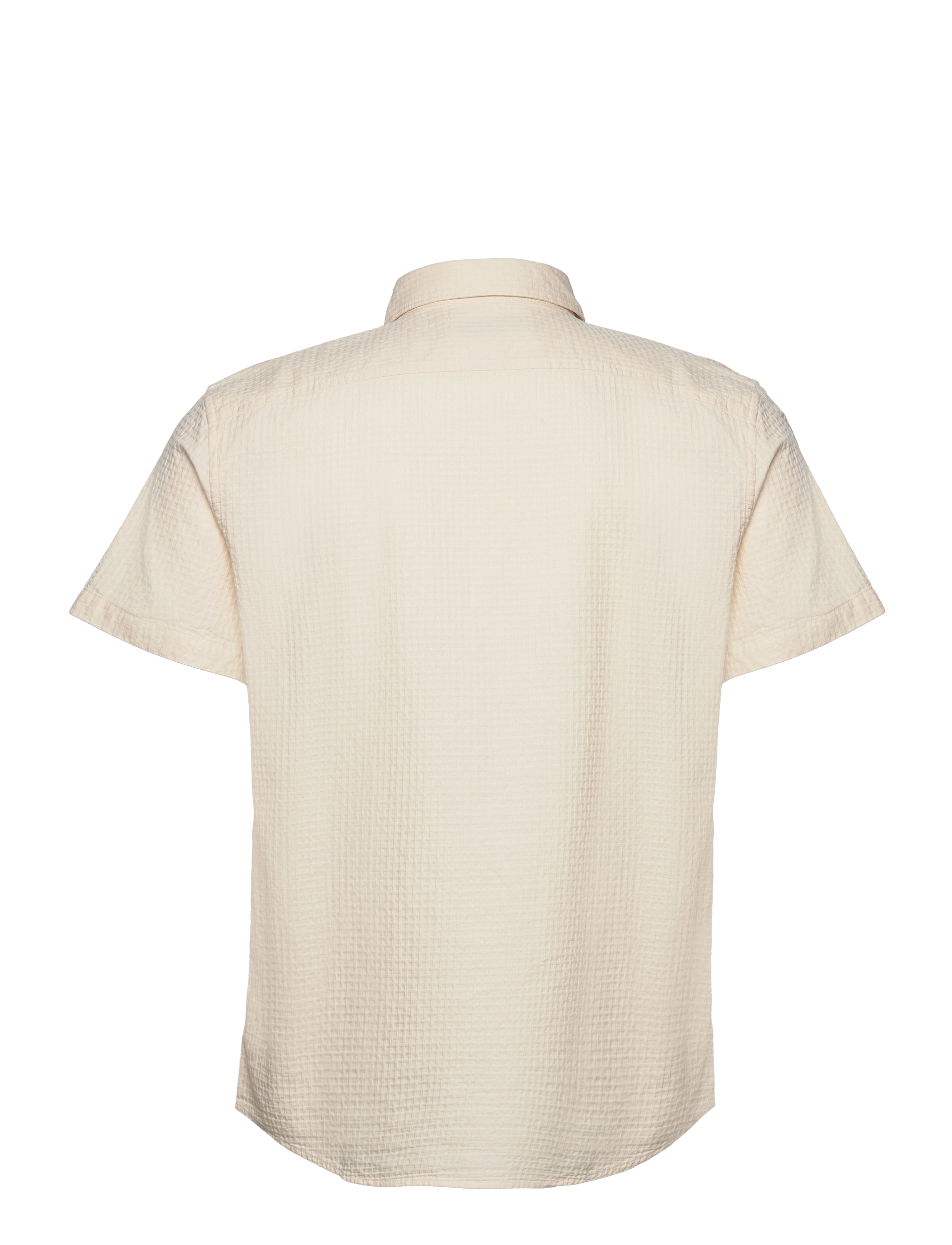 Original Penguin - SS CTTN TEXTURED DOB - birch - 1