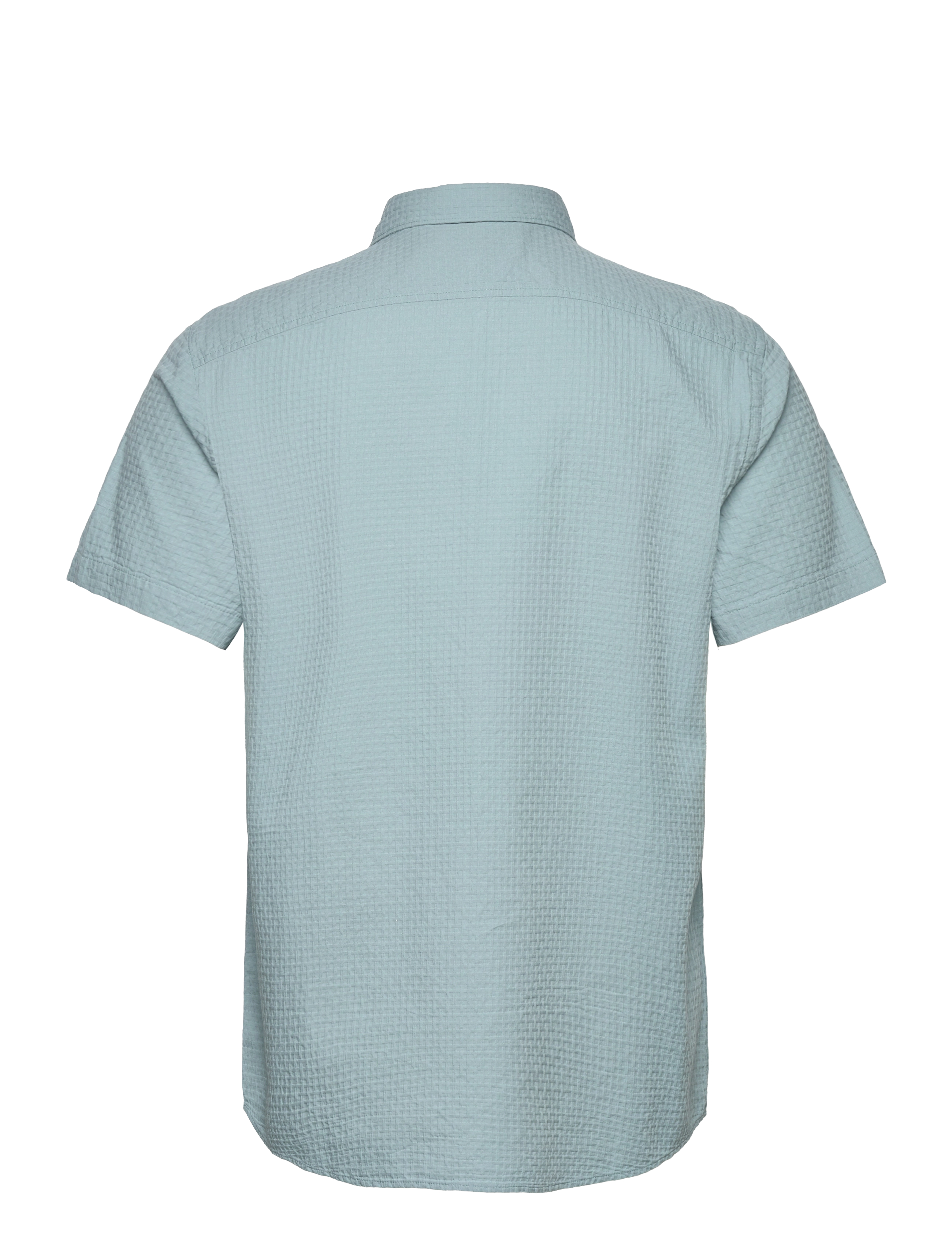 Original Penguin - SS CTTN TEXTURED DOB - tourmaline - 1