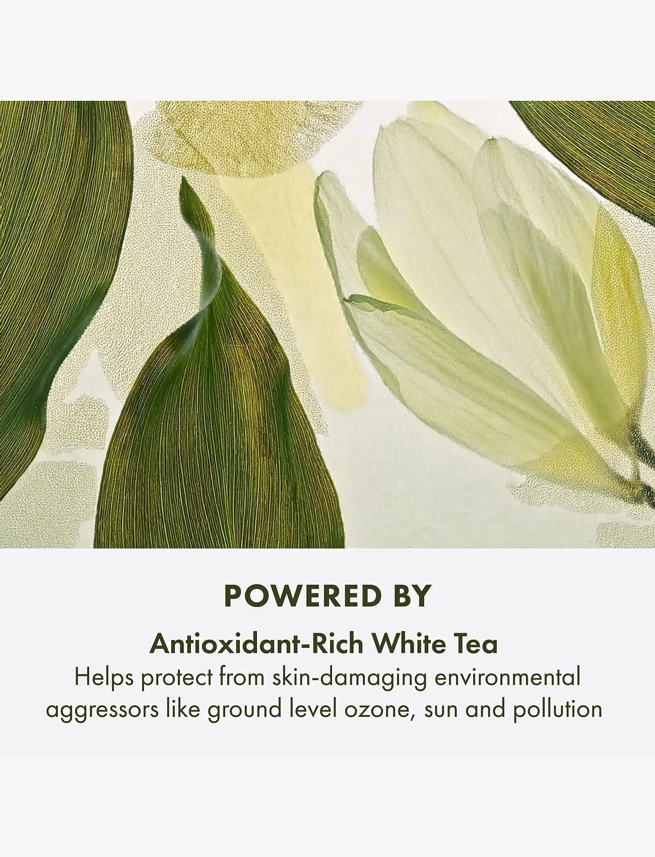 Origins - A Perfect World Antioxidant Moisturizer with White Tea - sommarens hudvård  - clear - 3
