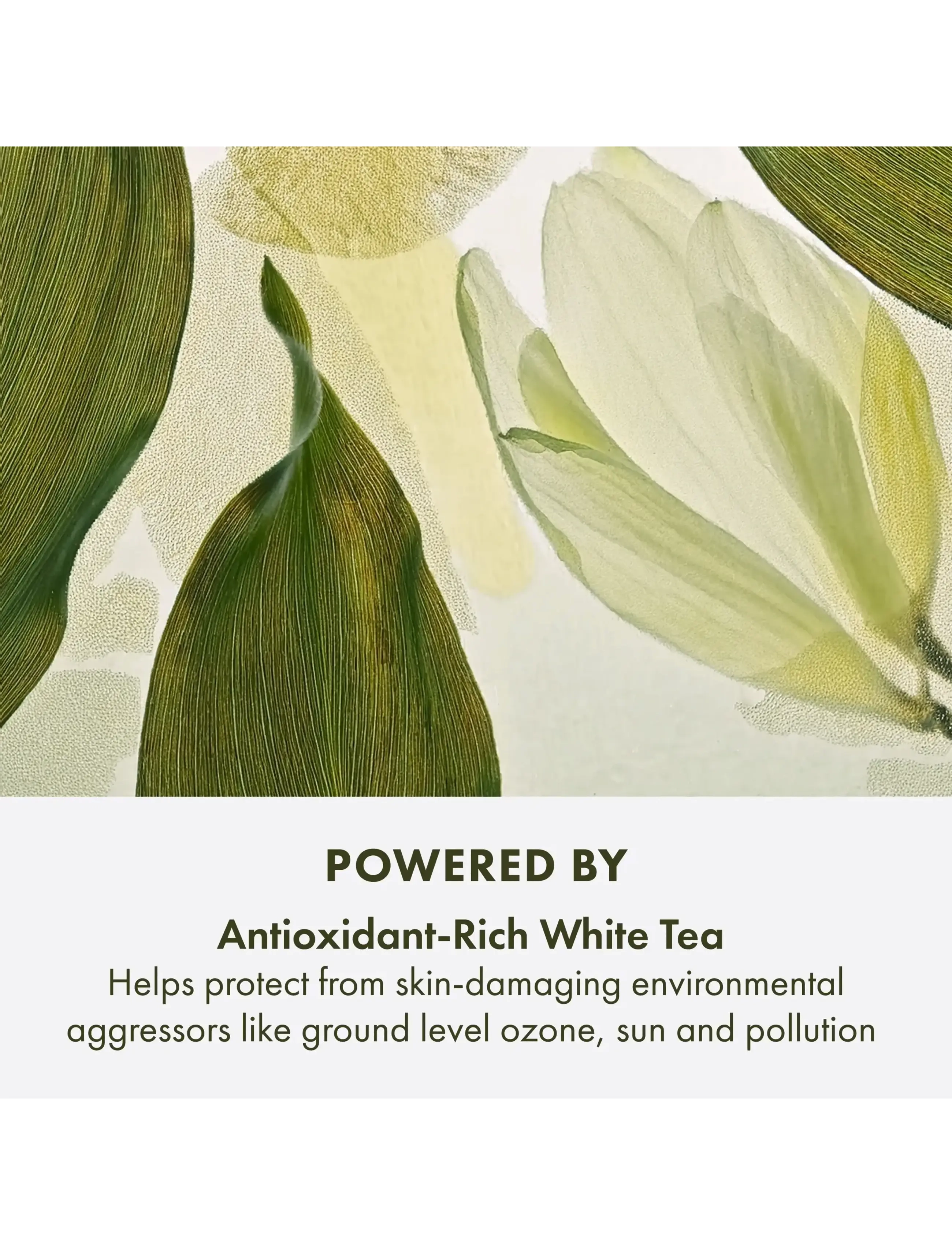 Origins - A Perfect World Antioxidant Moisturizer with White Tea - sommerens hudpleje - clear - 3