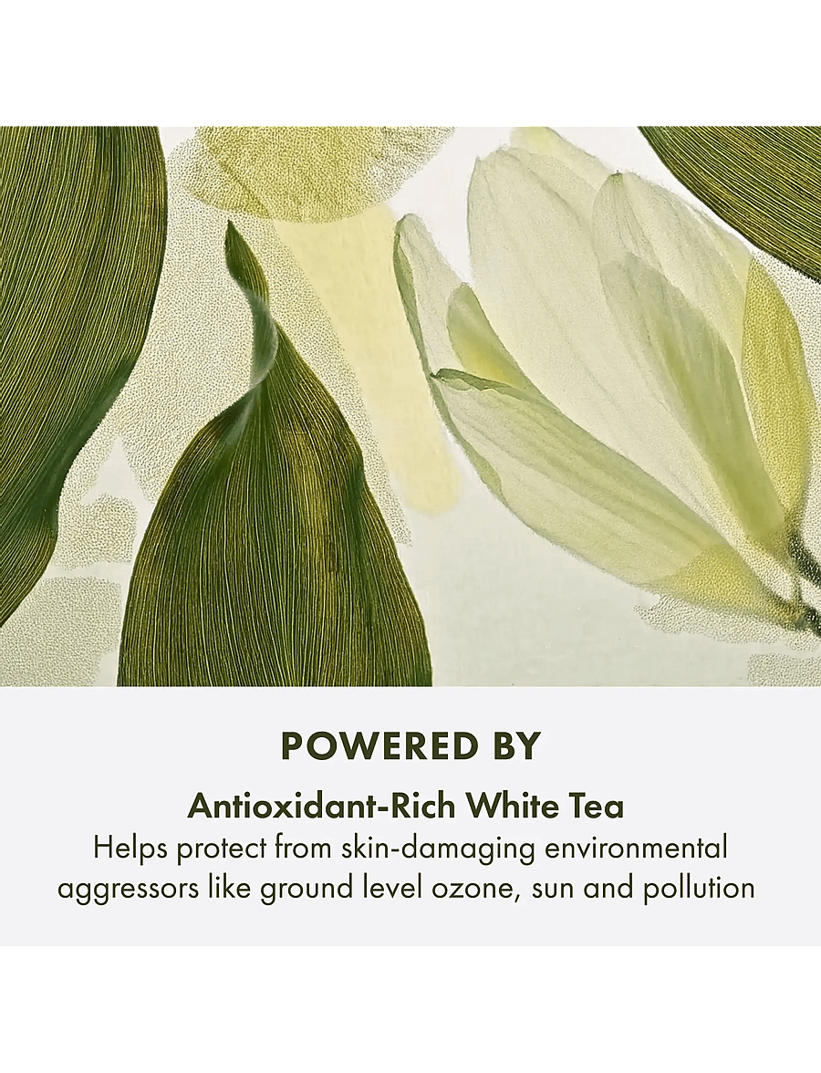 Origins - A Perfect World Antioxidant Moisturizer with White Tea - sommerens hudpleje - clear - 3