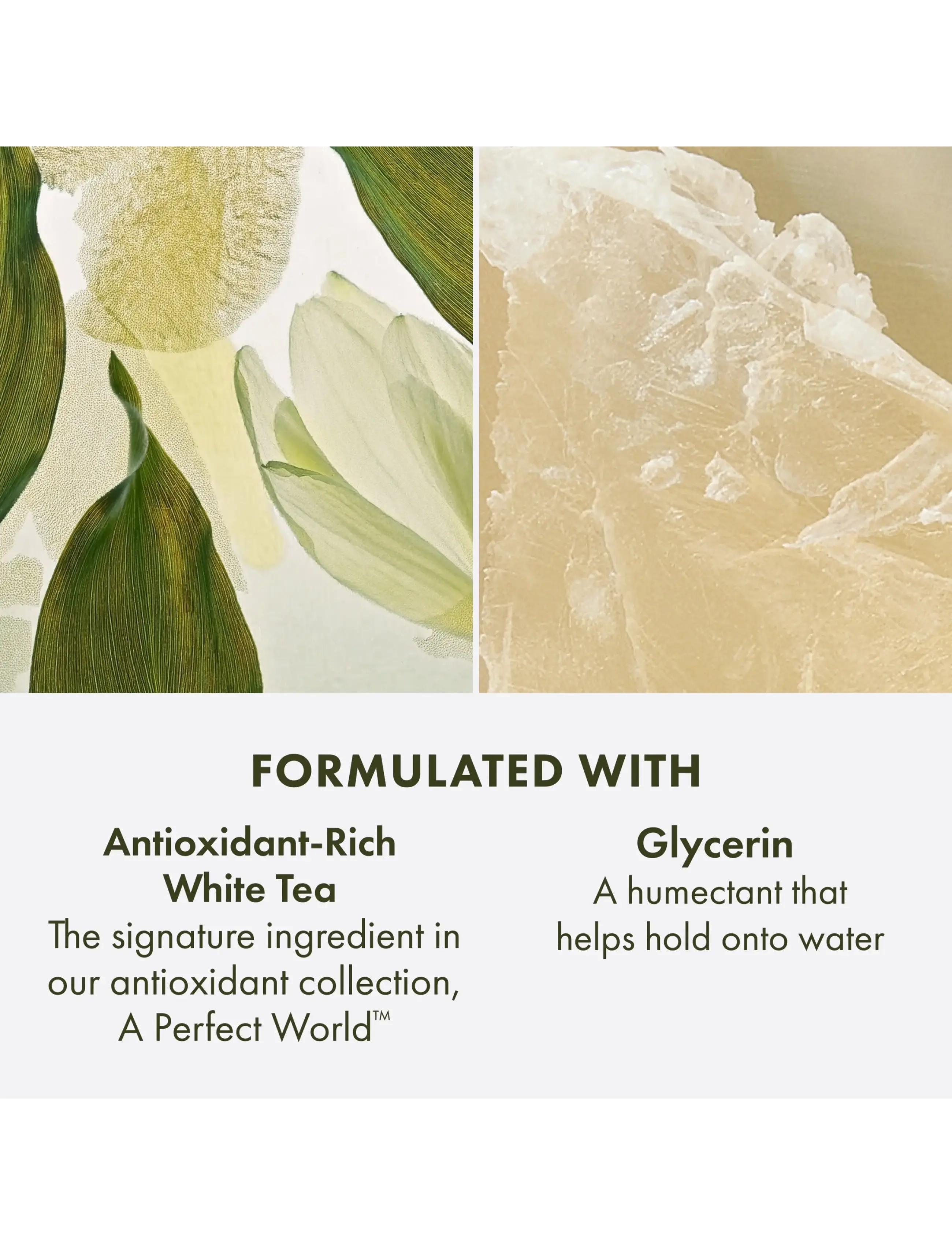 Origins - A Perfect World Antioxidant Cleanser with White Tea - rensegels - clear - 4