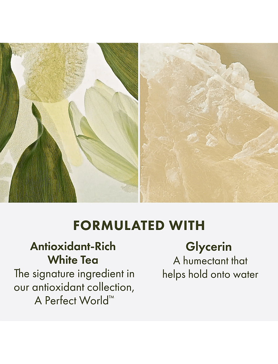 Origins - A Perfect World Antioxidant Cleanser with White Tea - puhdistusgeelit - clear - 4