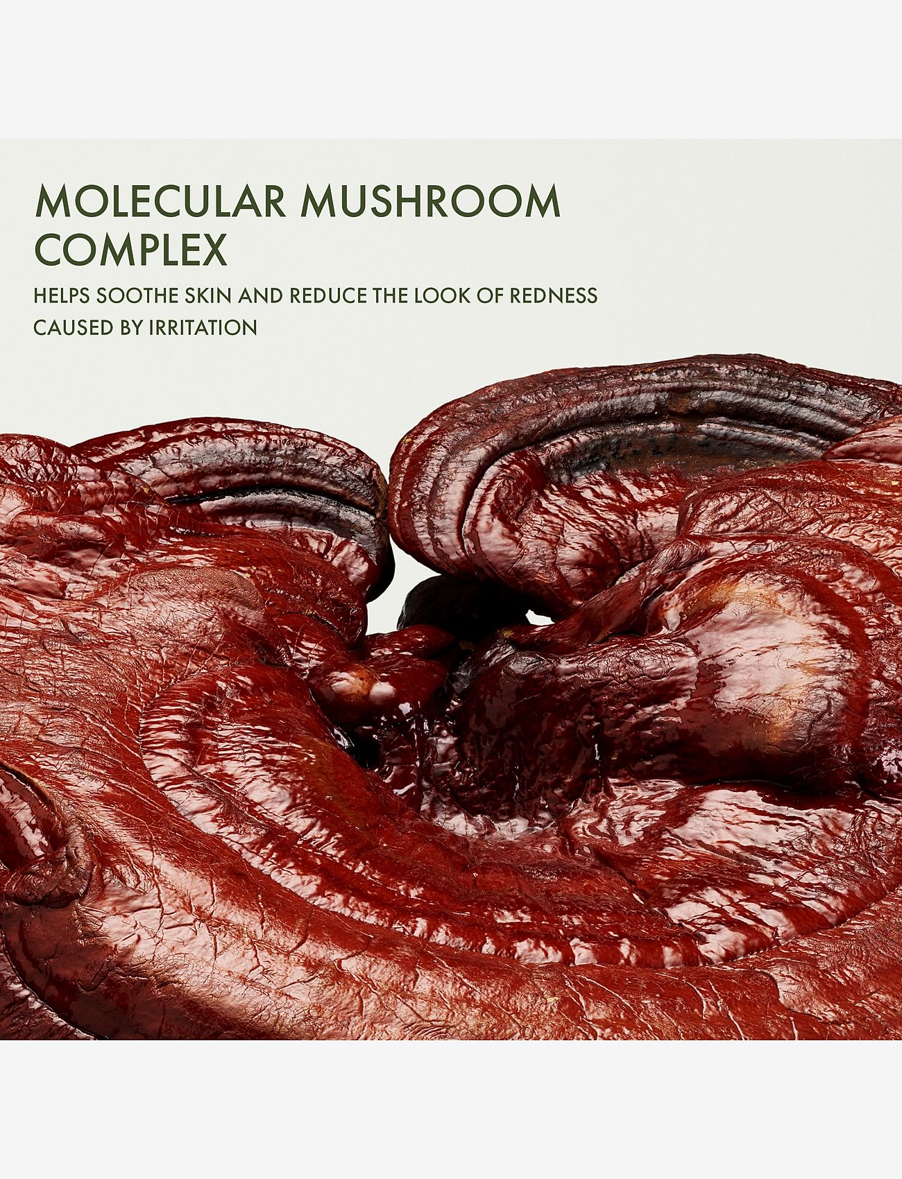 Origins - Dr. Weil Mega- Mushroom Restorative Skin Concentrate - serum & oljor  - no colour - 3